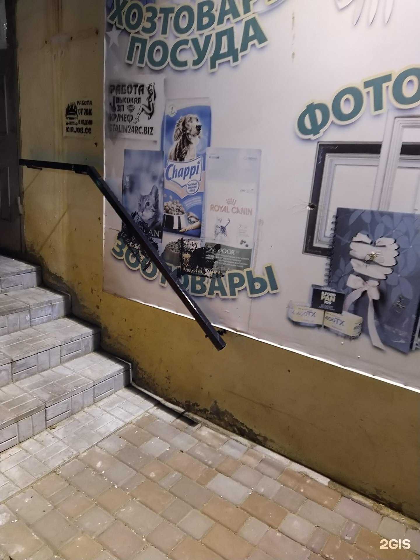 Отзывы на компанию Магазин зоотоваров в Кирове c фото