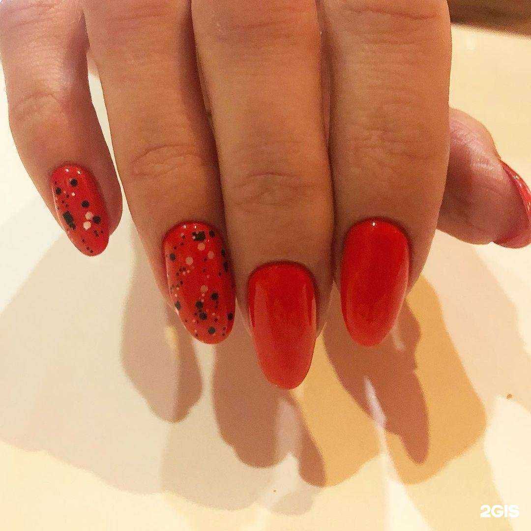 Отзывы на компанию Моне в Саратове c фото