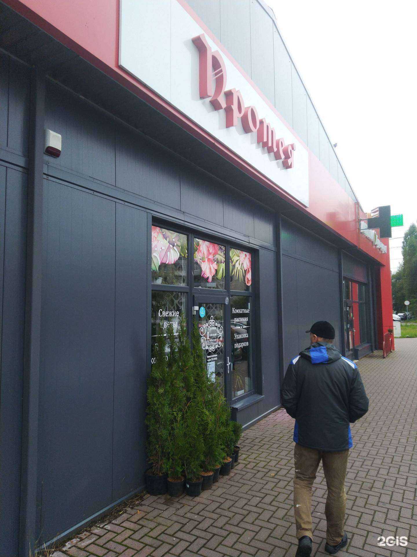 Отзывы на компанию Протея в г. Калининград c фото