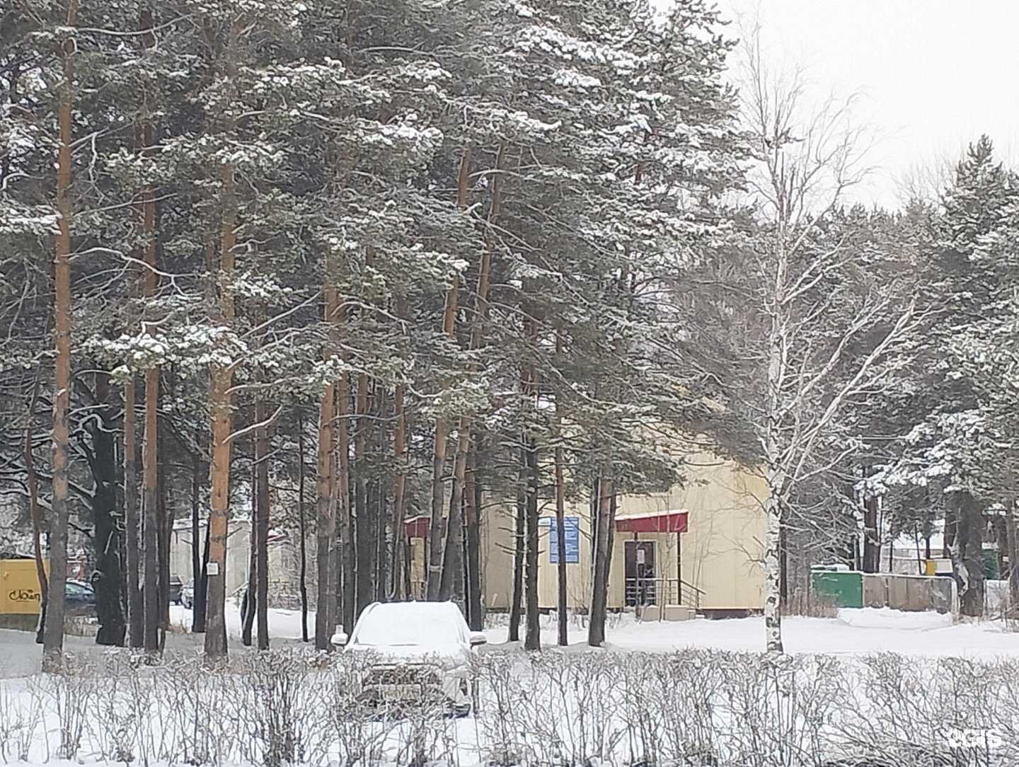 Отзывы на компанию Кабинет логопеда в Сургуте c фото