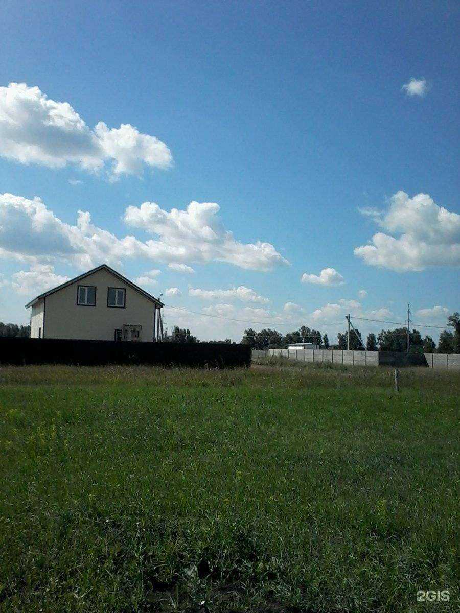 Отзывы на компанию Колос в Тольятти c фото