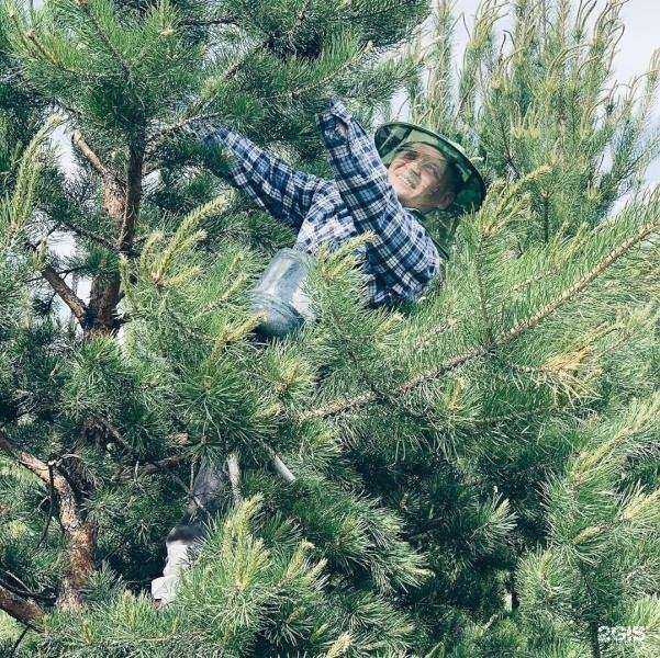 Отзывы на компанию Таёжная кладовая в г. Красноярск c фото