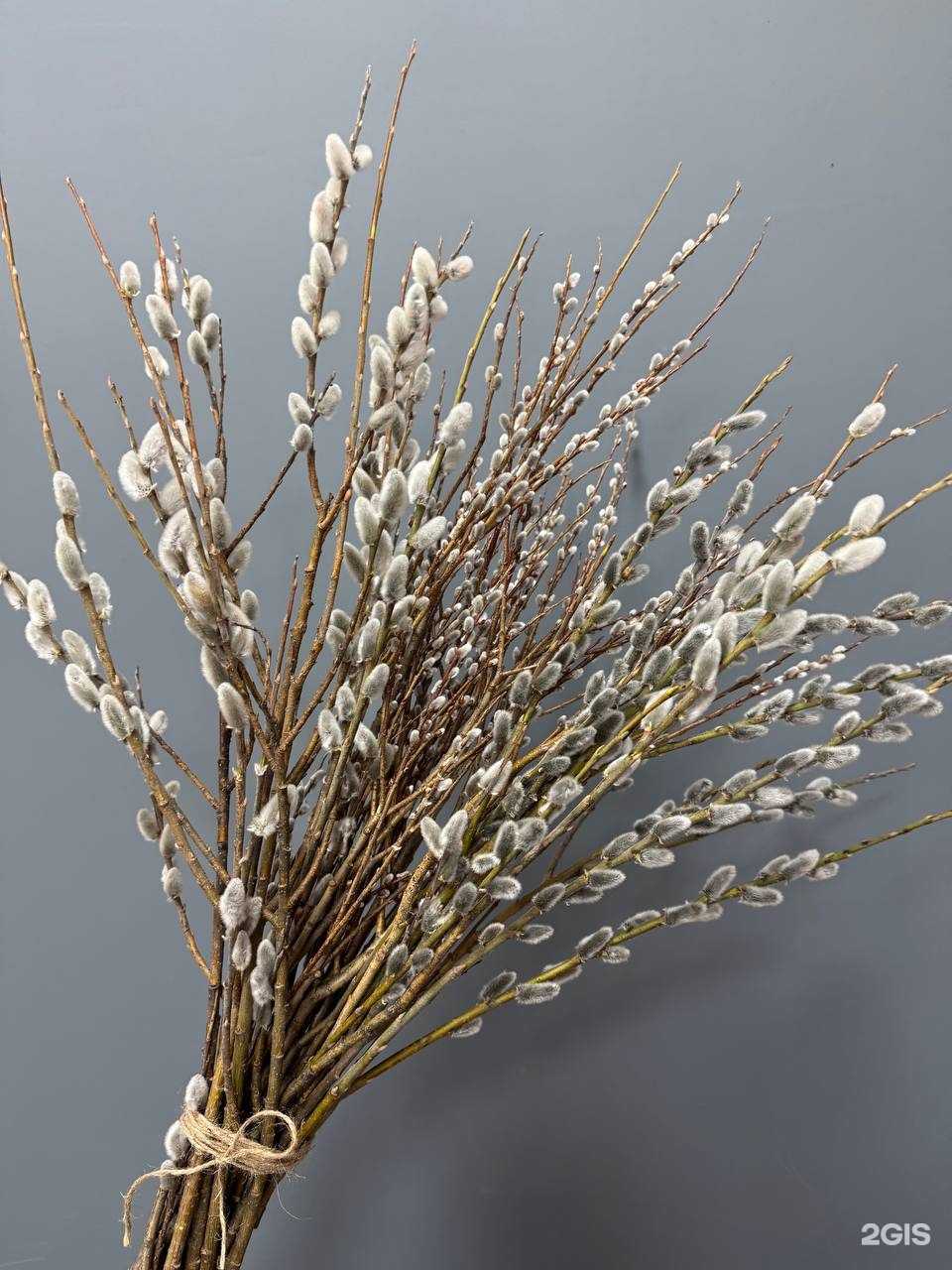 Отзывы на компанию ДарЭль в г. Уфа c фото