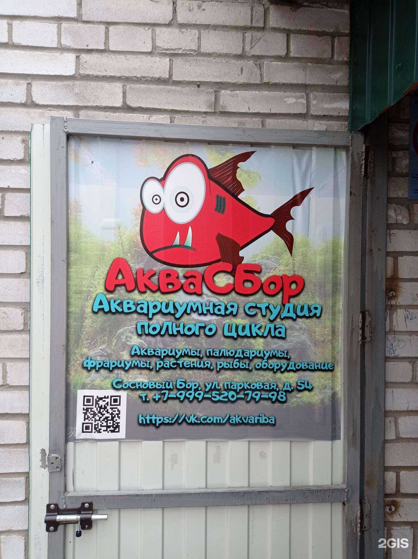 Отзывы на компанию Аквасбор в Сосновом Боре c фото