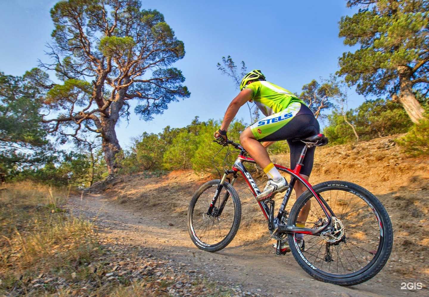 Отзывы на компанию Мир Аккумуляторов в Владимире c фото