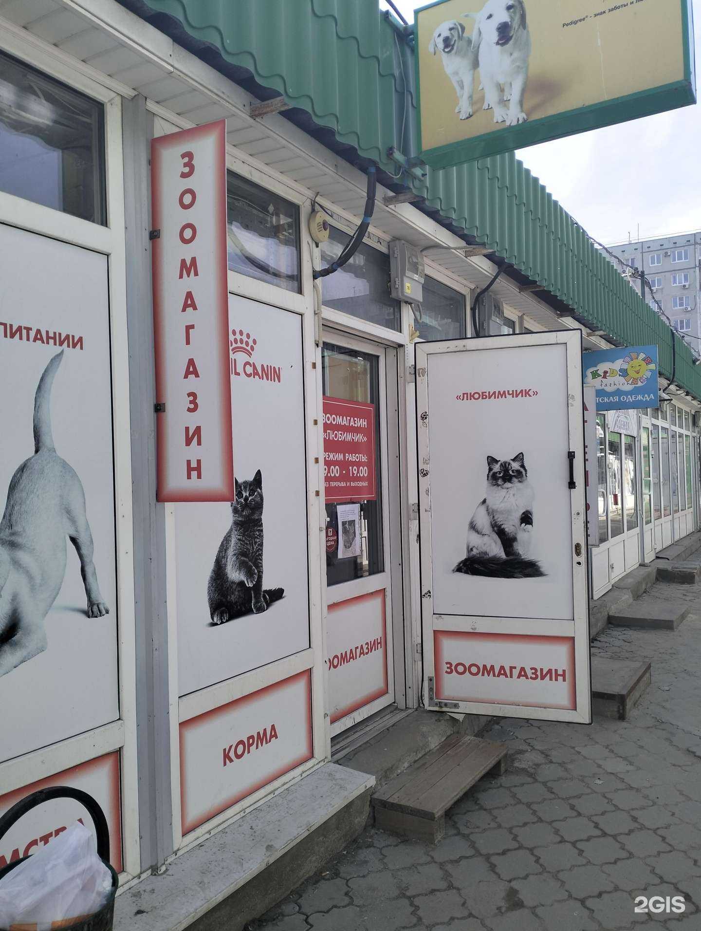 Отзывы на компанию Любимчик в Волгограде c фото