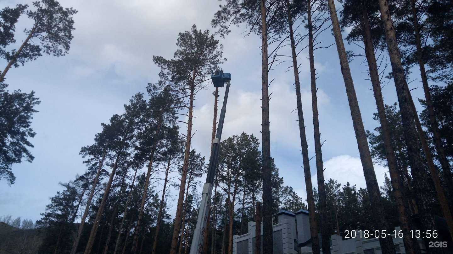 Отзывы на компанию Лесоруб24 в Красноярске c фото