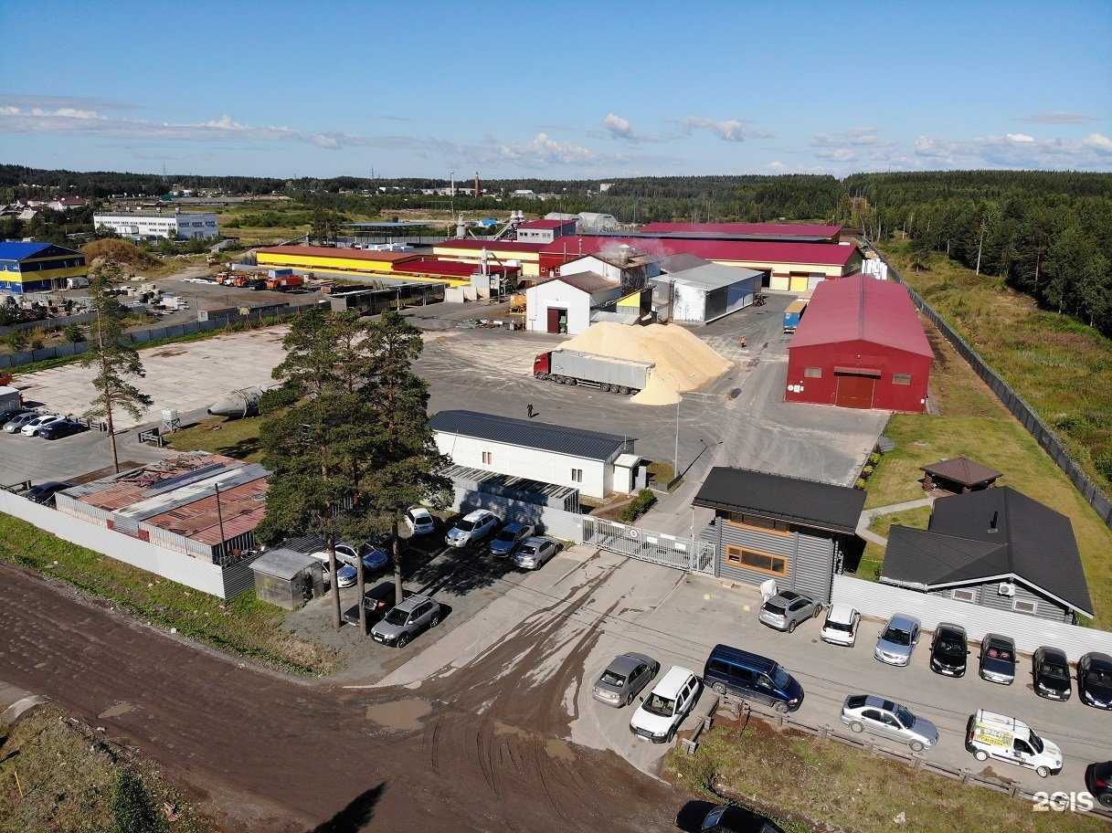 Отзывы на компанию Русский Лесной Альянс в Петрозаводске c фото