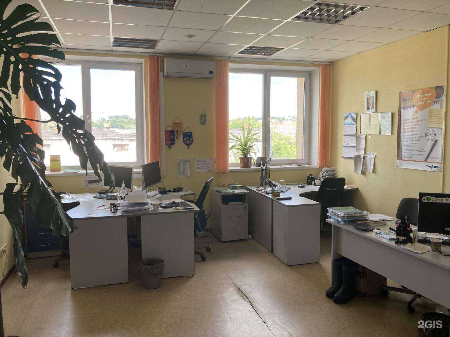 Отзывы на компанию Сингента в Нижнем Новгороде c фото