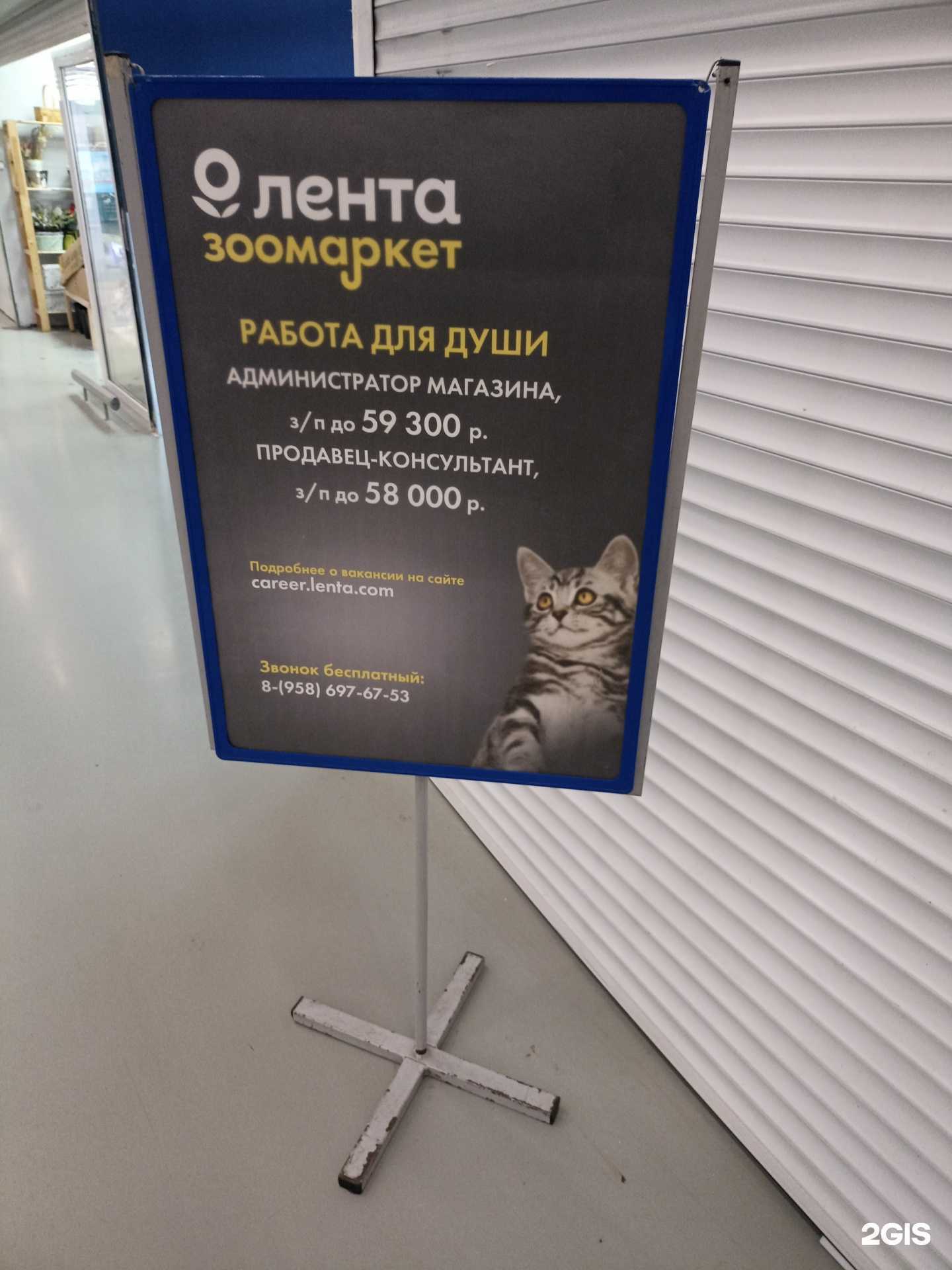 Отзывы на компанию Лента в Набережных Челнах c фото