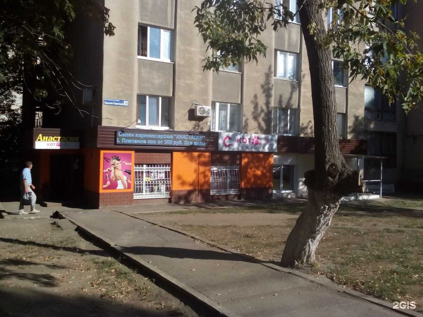 Отзывы на компанию Котопёс в Саратове c фото - фотография 2 из 2