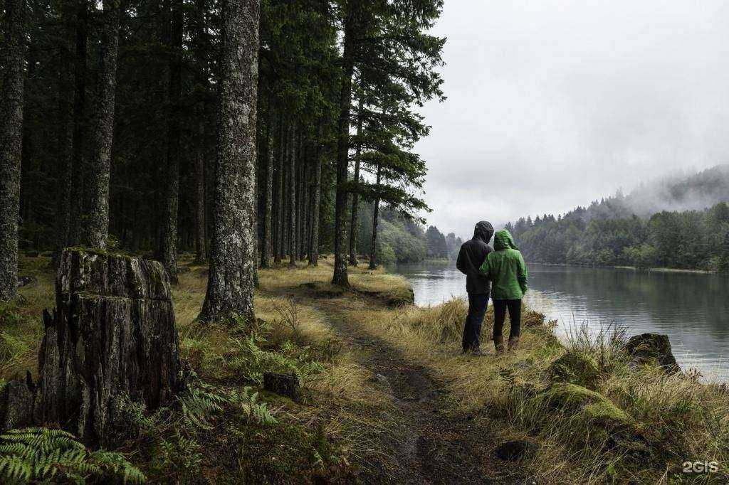 Отзывы на компанию Domus Decus в г. Ижевск c фото