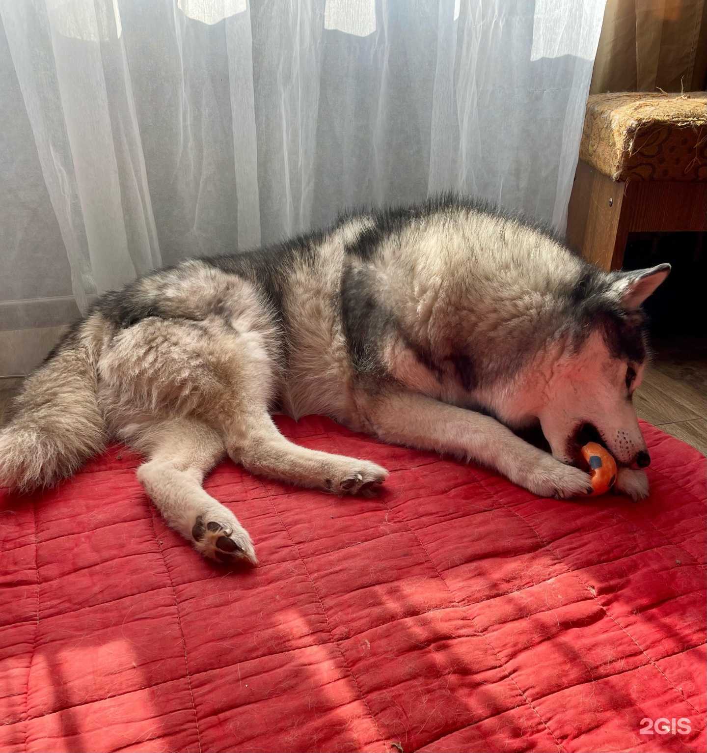 Отзывы на компанию Ирви в г. Калининград c фото