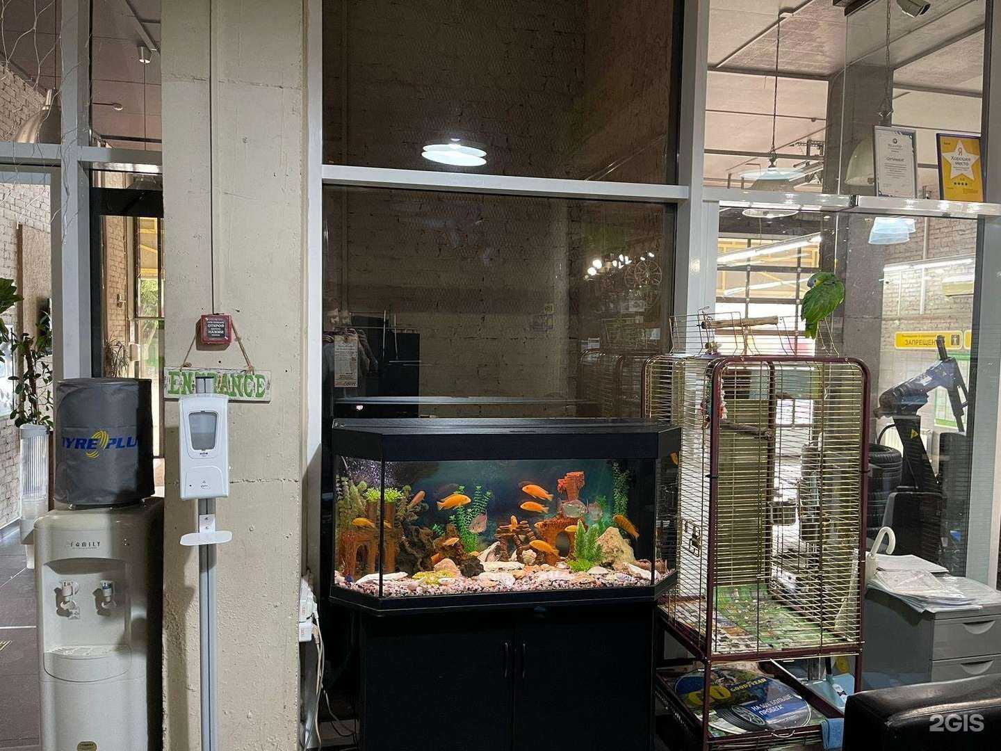 Отзывы на компанию Pirelli PerformanceCentre в г. Краснодар c фото