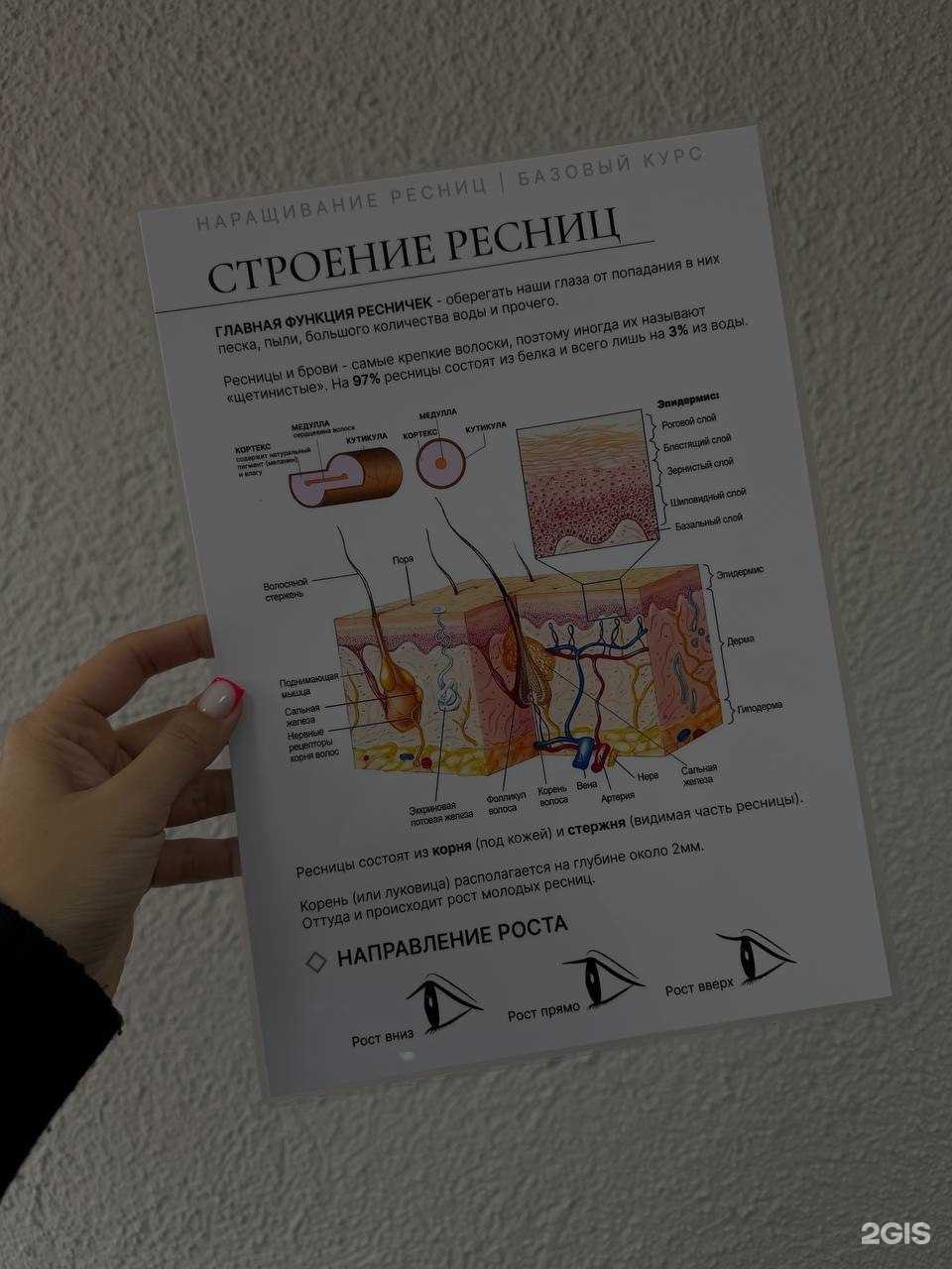 Отзывы на компанию Red Cat в г. Курган c фото