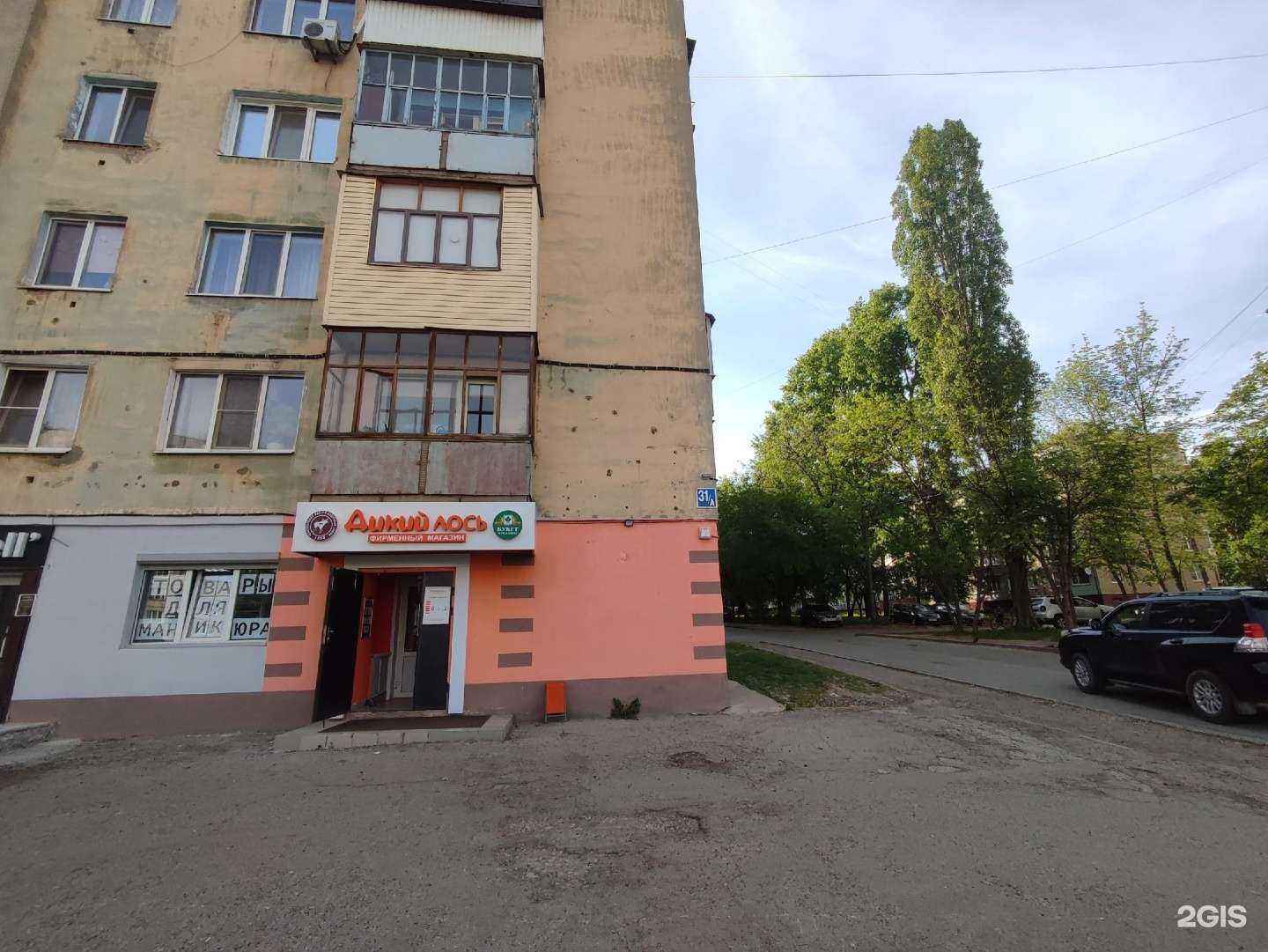 Отзывы на компанию Дикий лось в г. Чебоксары c фото