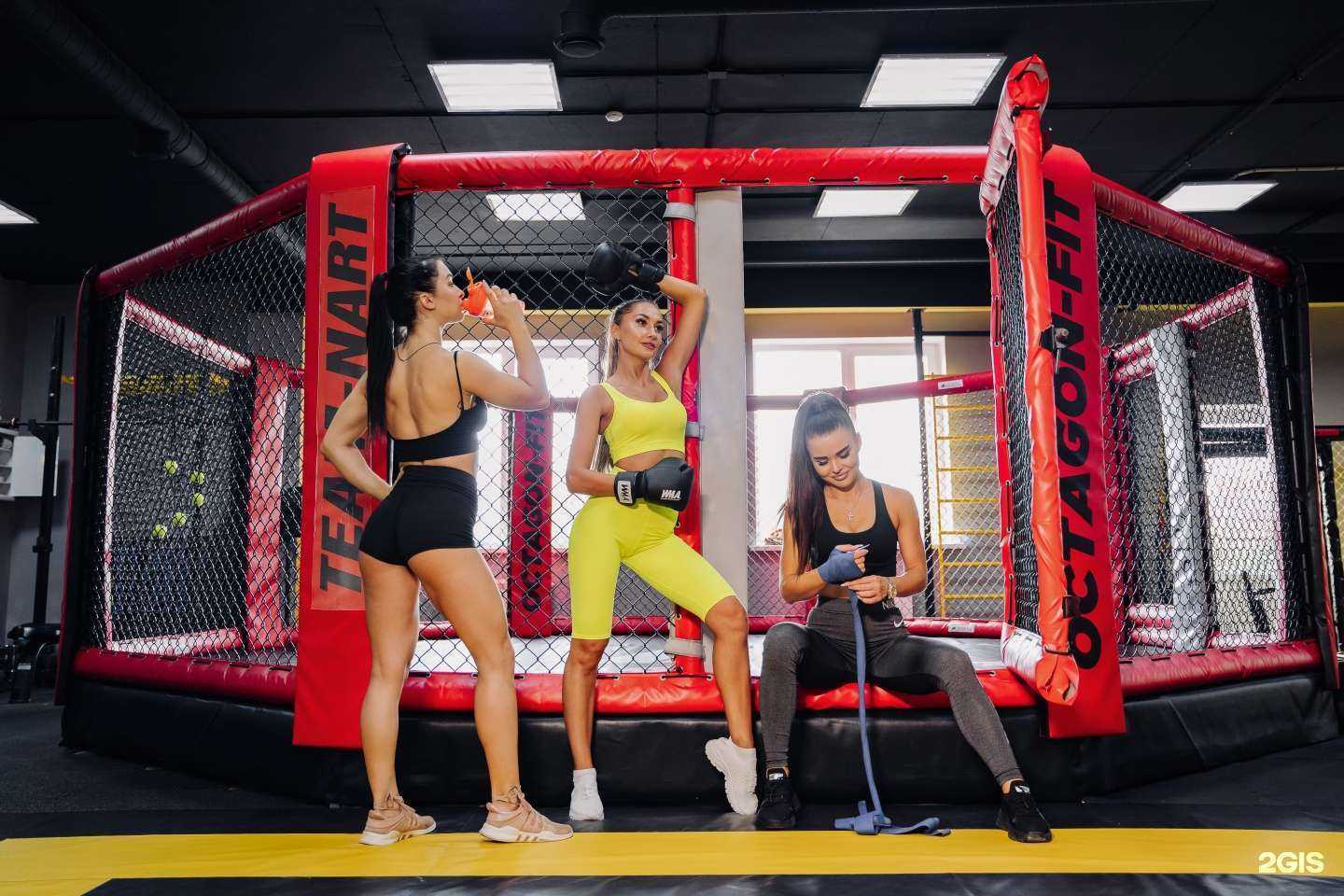 Отзывы на компанию Octagon-Fit в Краснодаре c фото