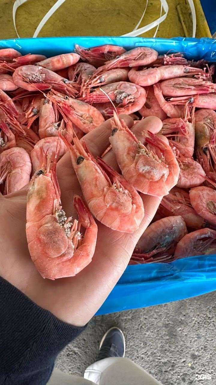 Отзывы на компанию ТПК Фиштрейд в Новосибирске c фото