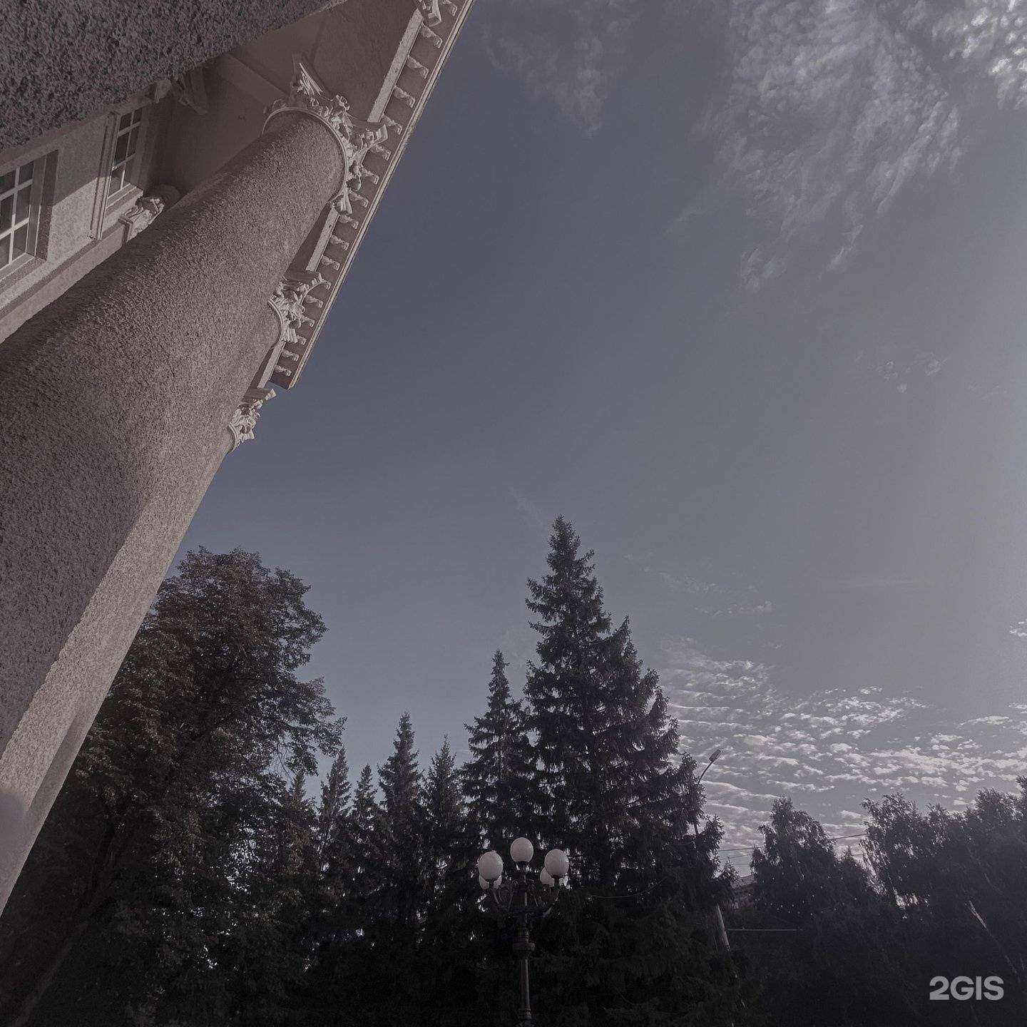 Отзывы на компанию Ренеcсанс тату  в Новосибирске c фото