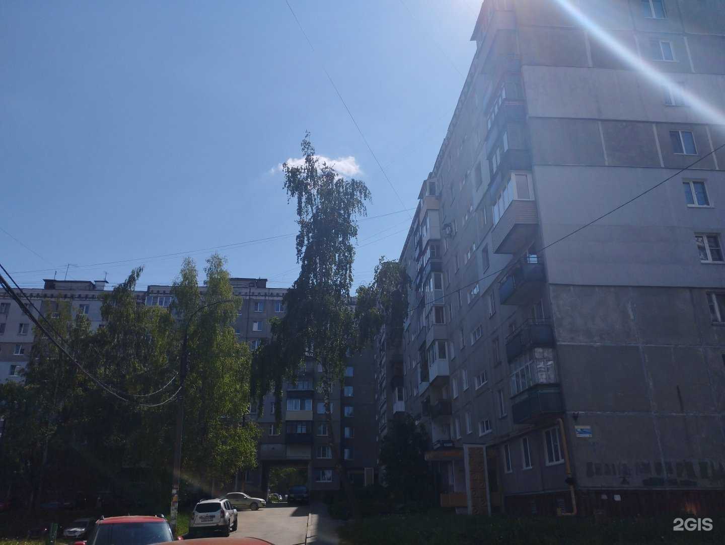 Отзывы на компанию Dog`s Master в г. Нижний Новгород c фото