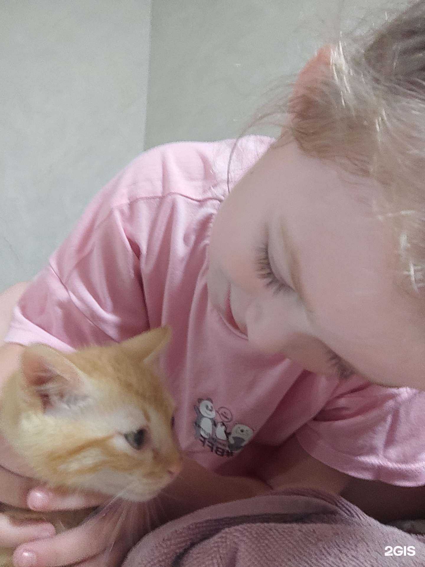 Отзывы на компанию Любимка в г. Железногорск c фото