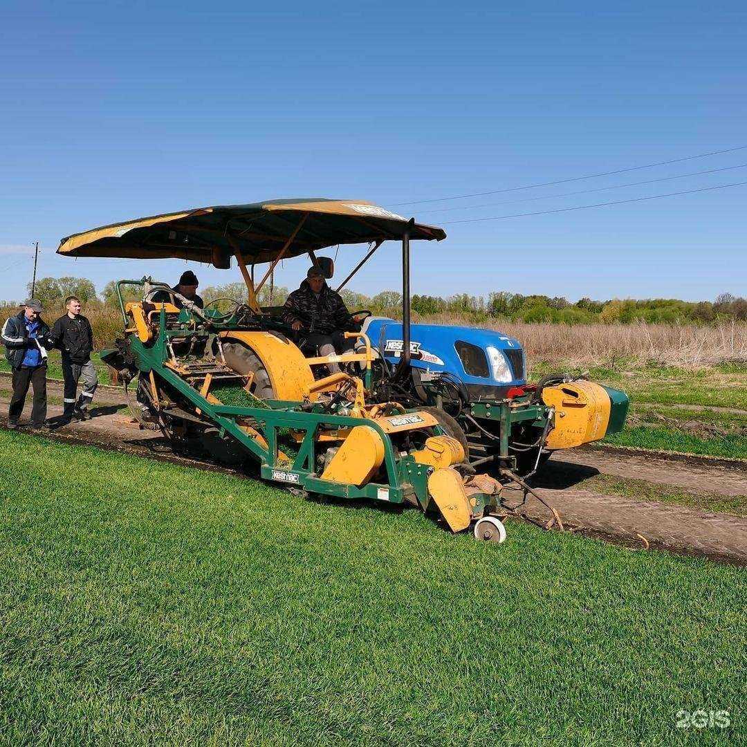 Отзывы на компанию Газон-71 в Туле c фото