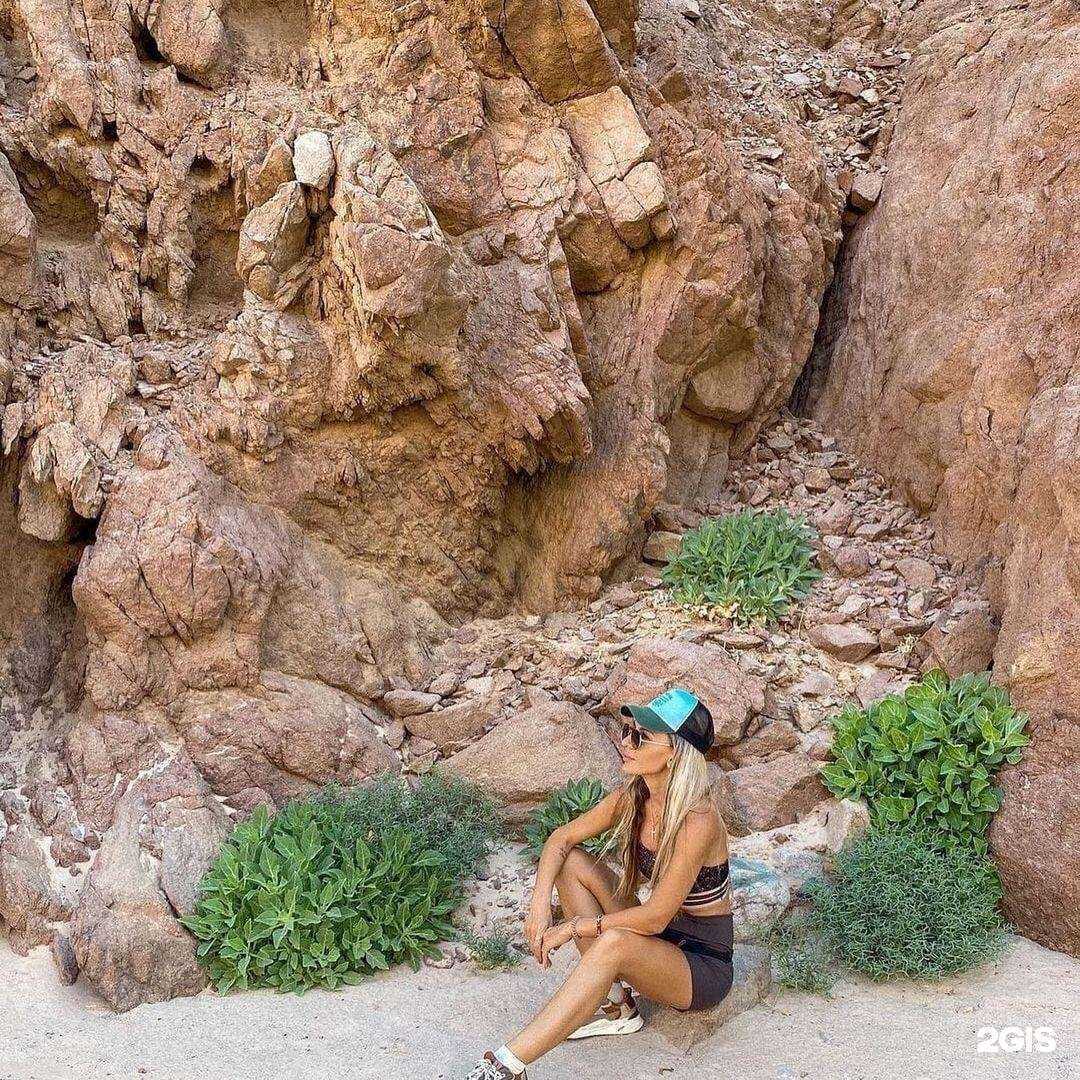 Отзывы на компанию FUN&SUN в Ессентуках c фото