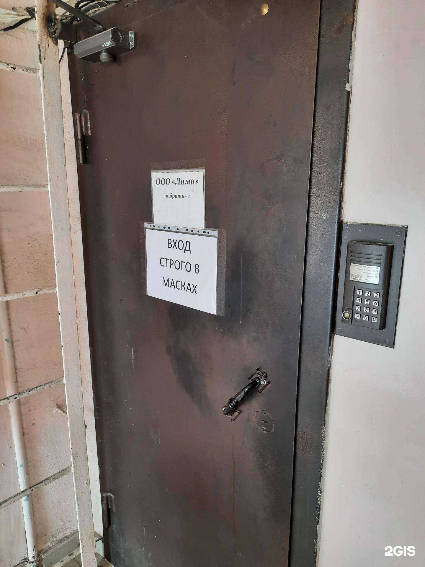 Отзывы на компанию Лама в Новосибирске c фото