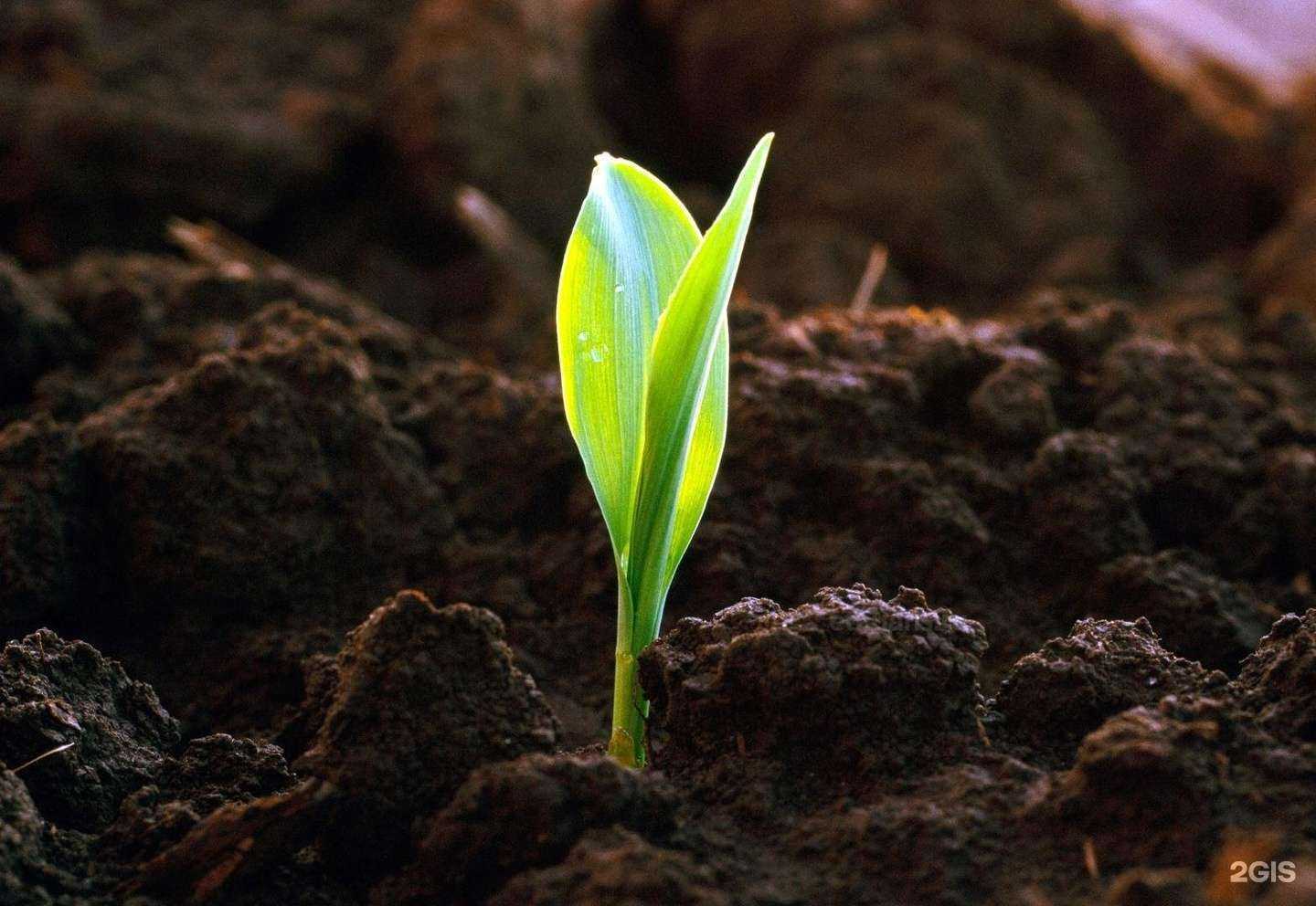 Отзывы на компанию Мир Строй в Нижнем Новгороде c фото