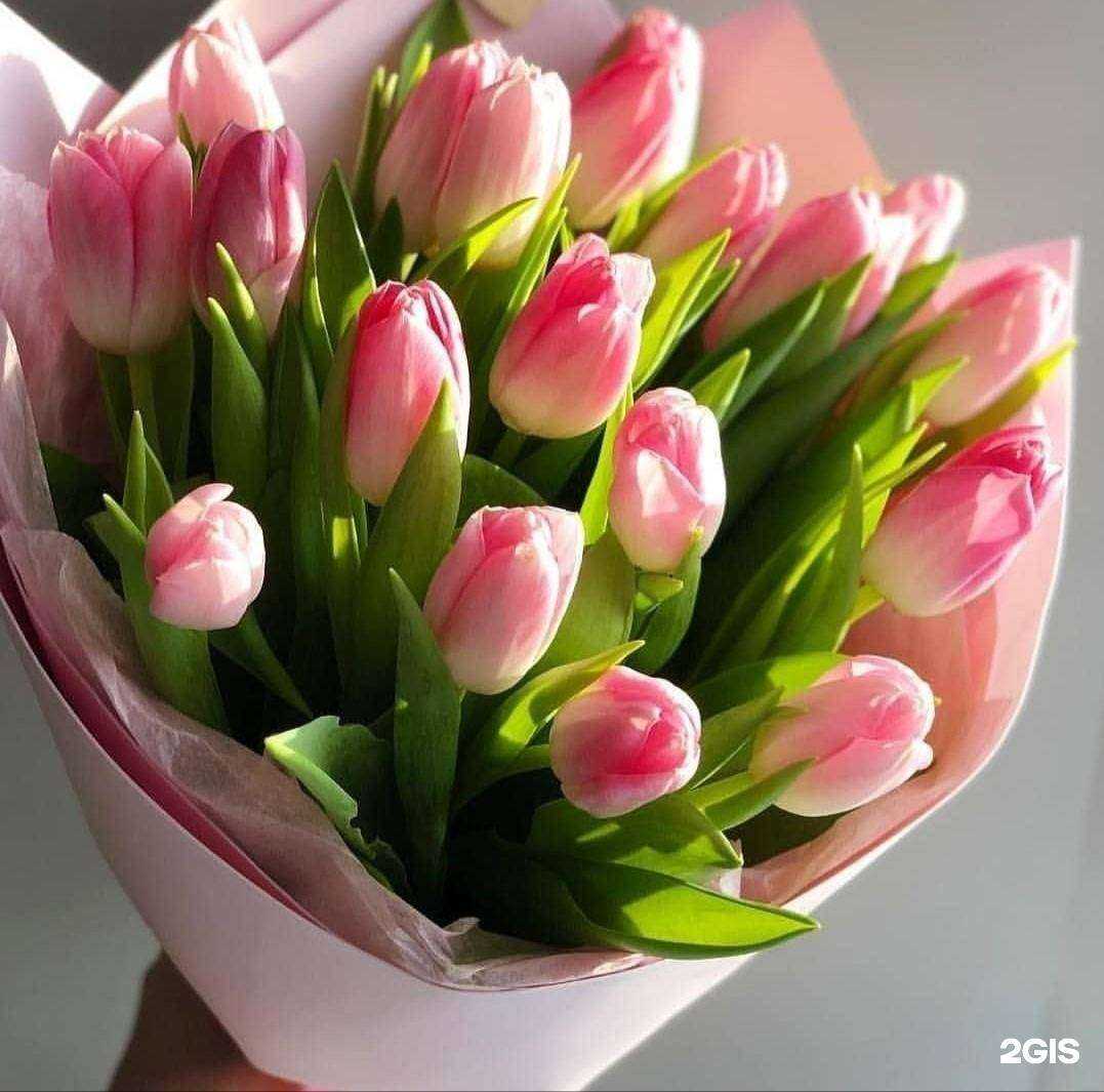 Отзывы на компанию Цветочный магазин в Хабаровске c фото