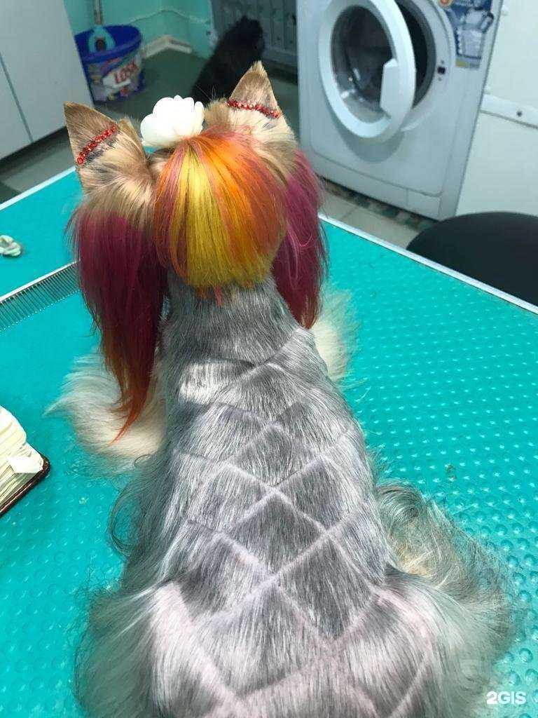 Отзывы на компанию New Йорк в г. Обнинск c фото