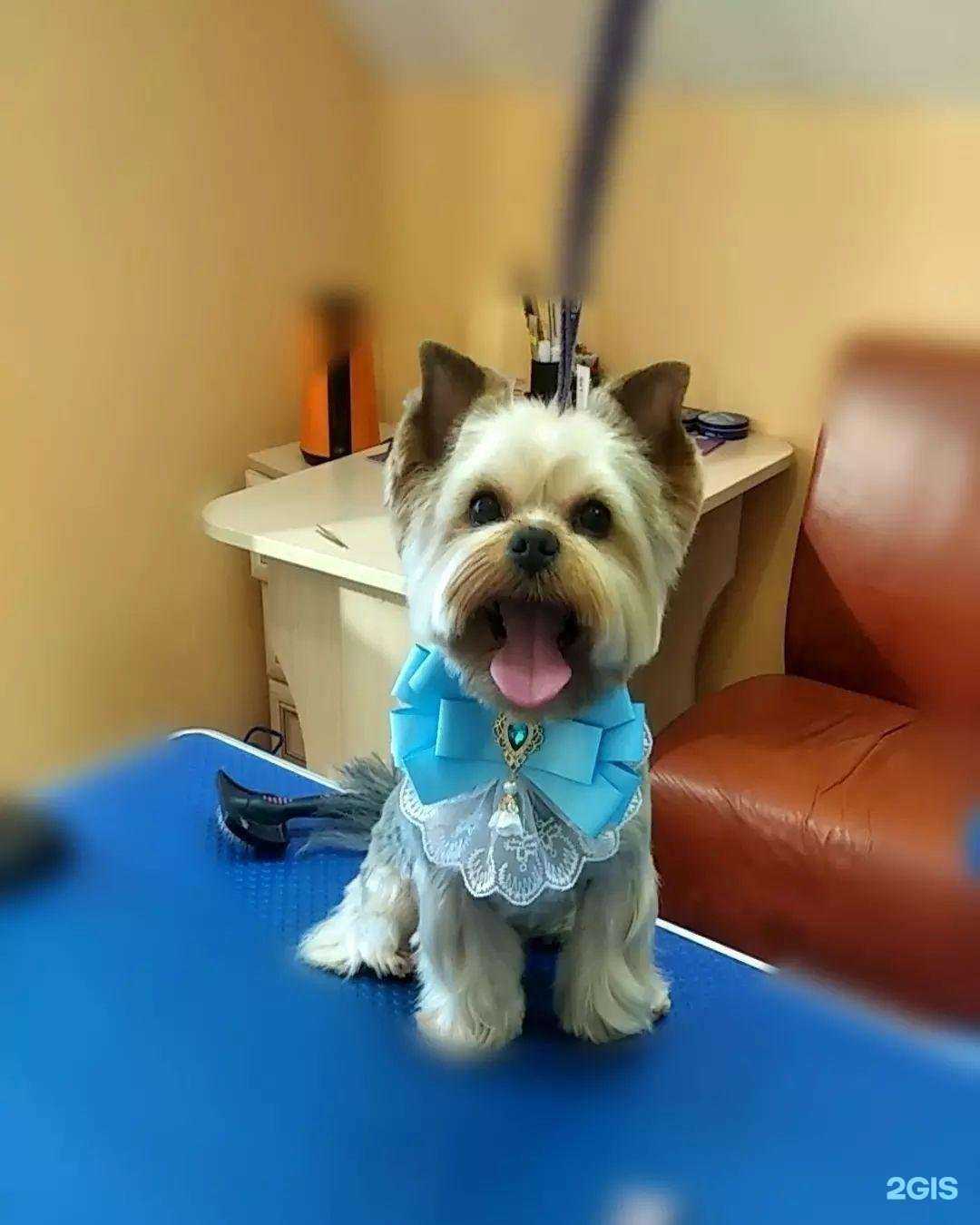 Отзывы на компанию Ева в г. Истра c фото