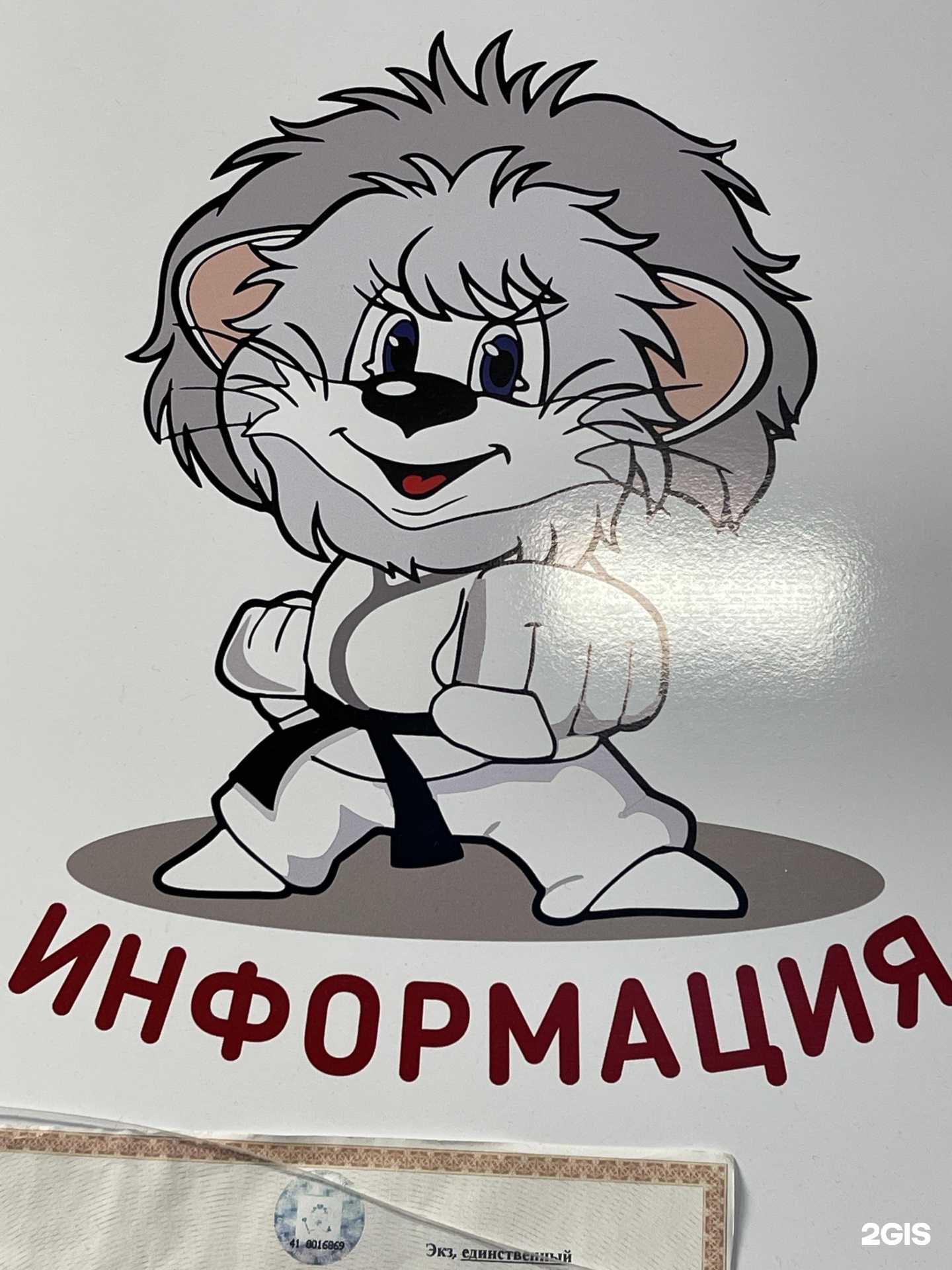 Отзывы на компанию Белый лев в г. Петропавловск-Камчатский c фото