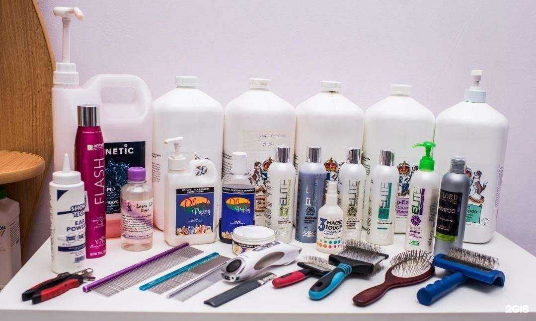 Отзывы на компанию ЛапУсики  в Златоусте c фото