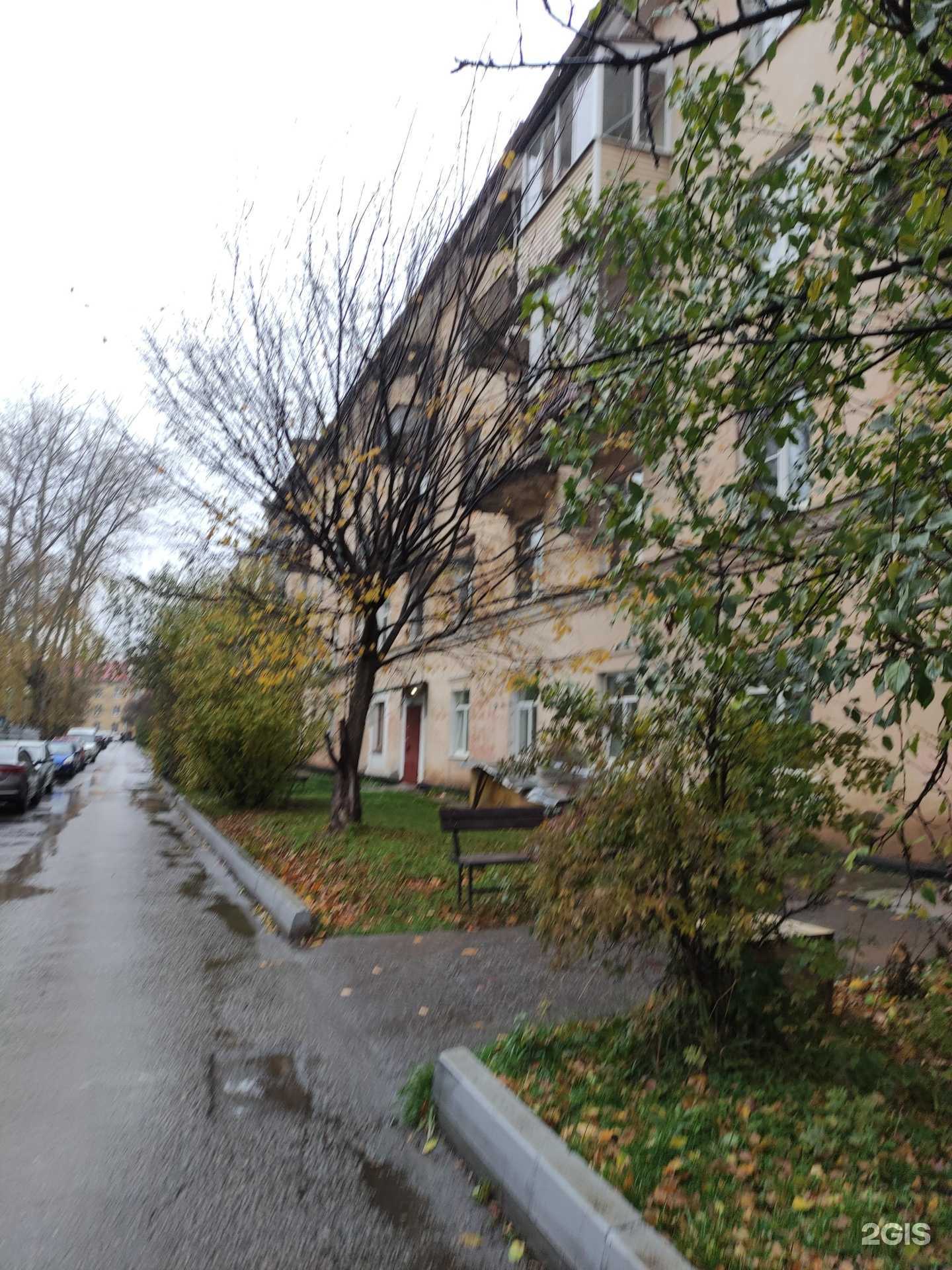 Отзывы на компанию Зоодомик в Ступине c фото - фотография 2 из 2