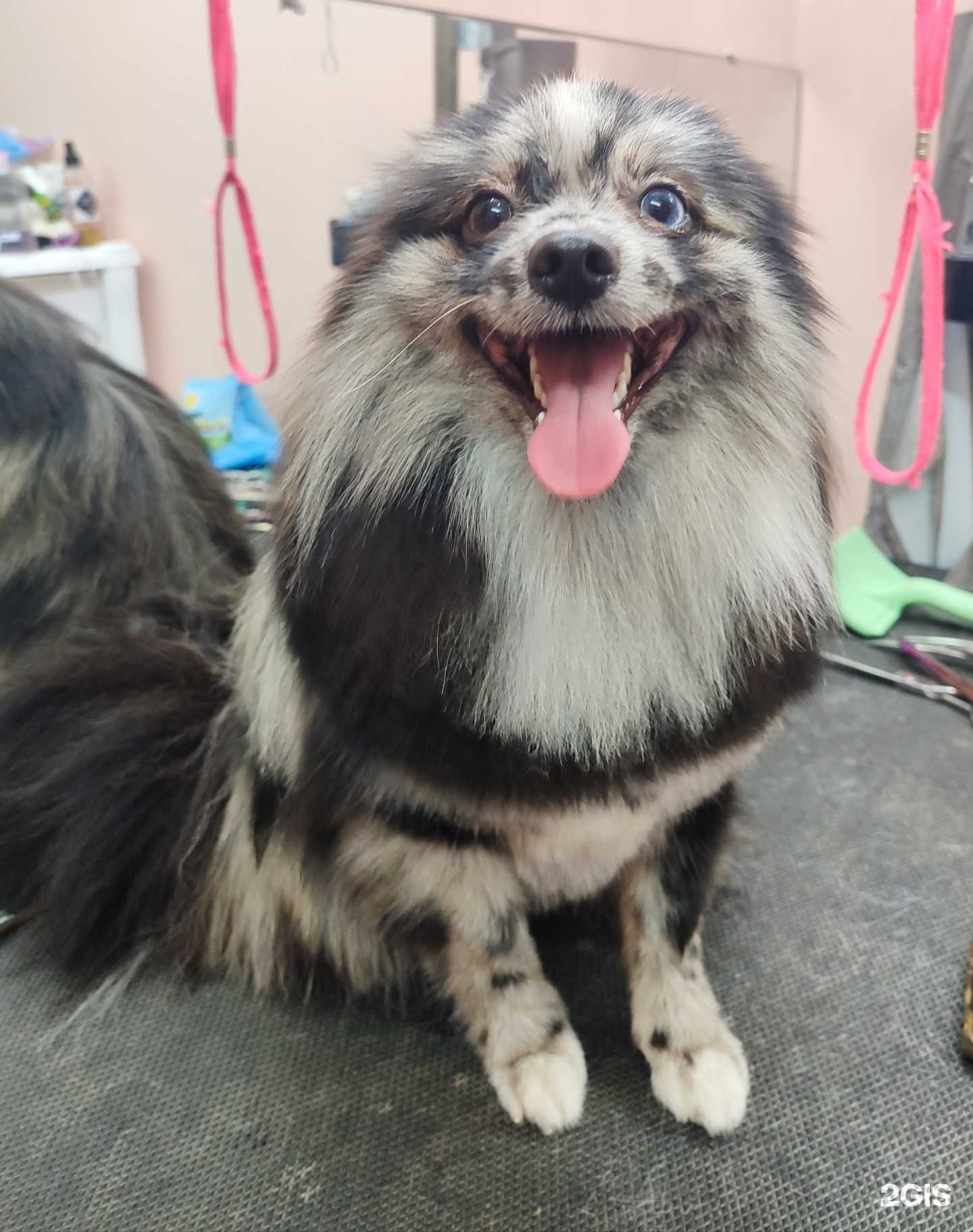 Отзывы на компанию Beauty Groom в г. Барнаул c фото