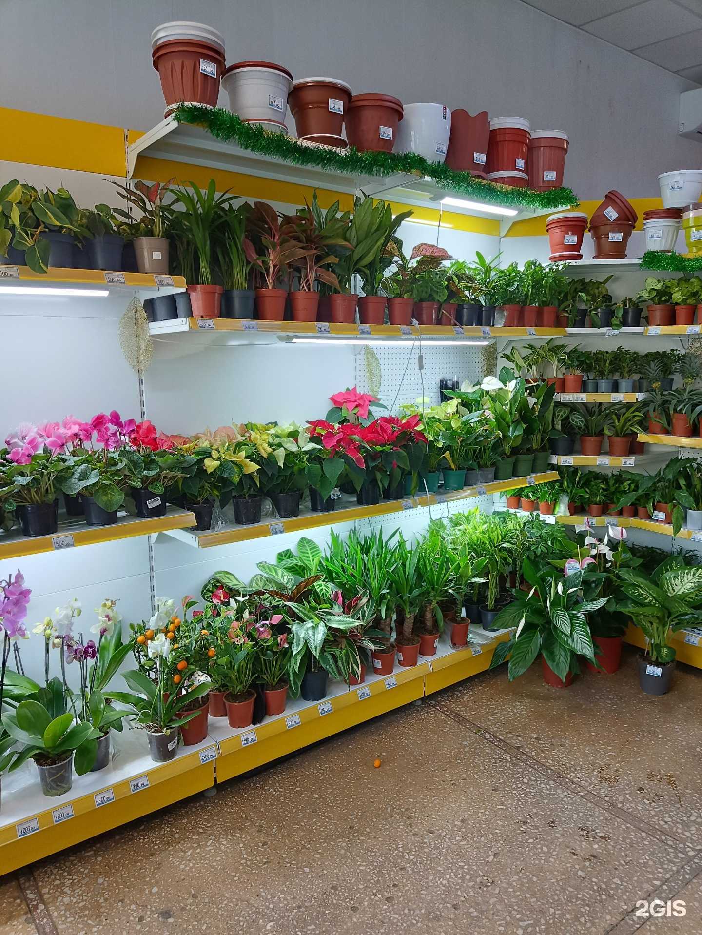 Отзывы на компанию Green точка в Миассе c фото