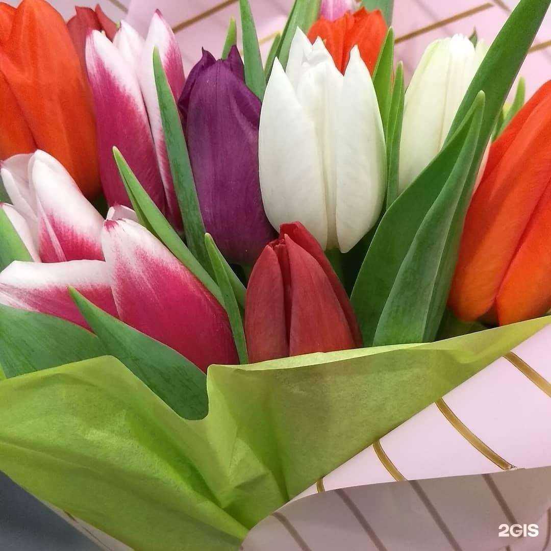 Отзывы на компанию Лепесток в г. Тюмень c фото