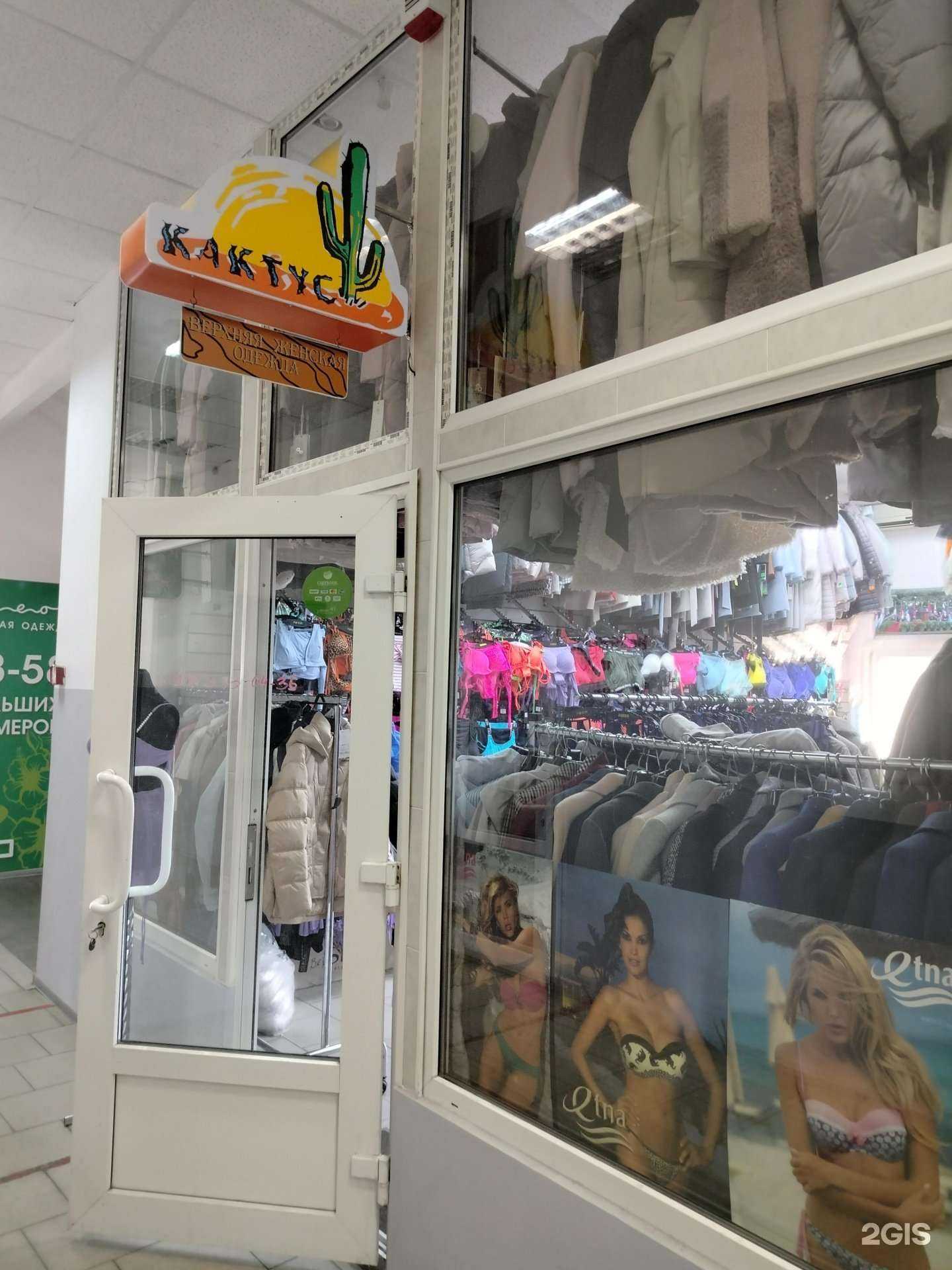 Отзывы на компанию Кактус в г. Новочеркасск c фото