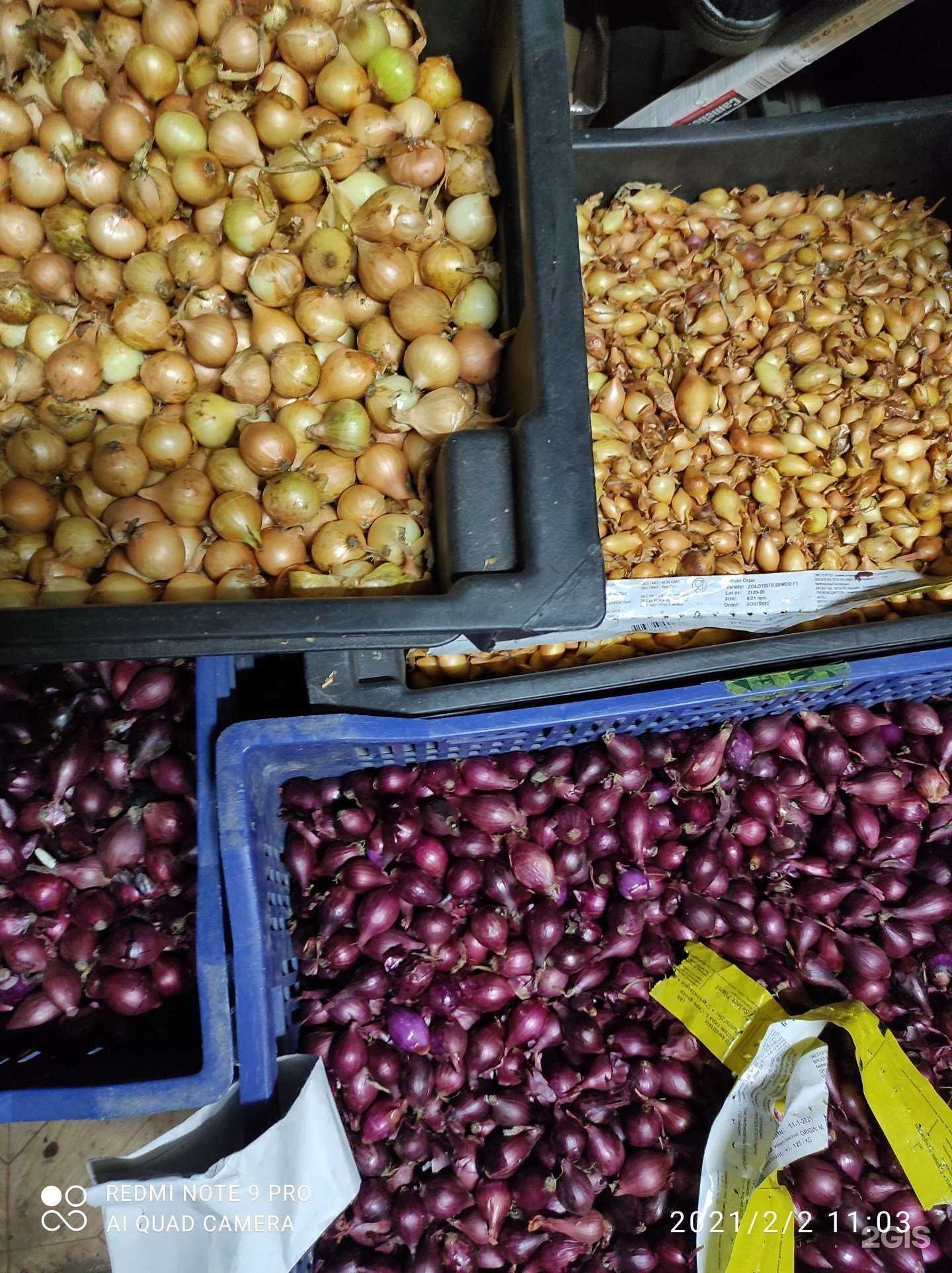 Отзывы на компанию Пчёлка в Архангельске c фото