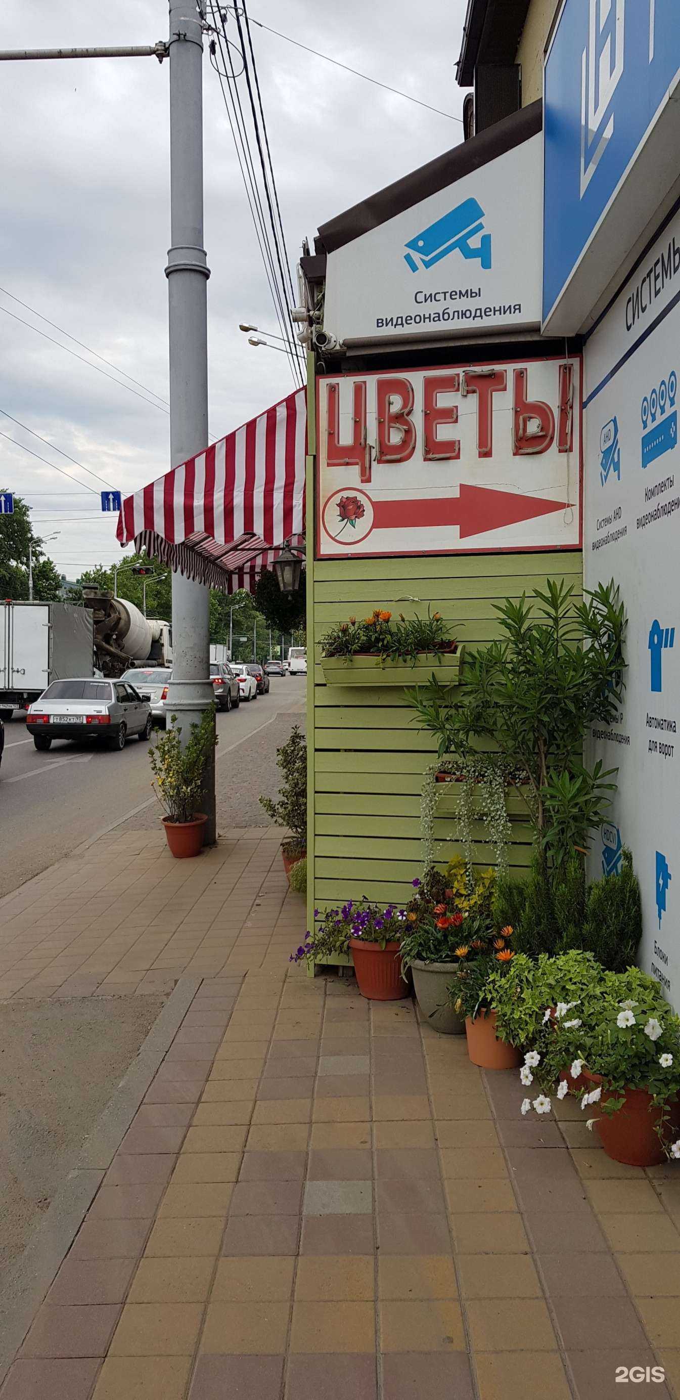 Отзывы на компанию Цветочный магазин в г. Краснодар c фото