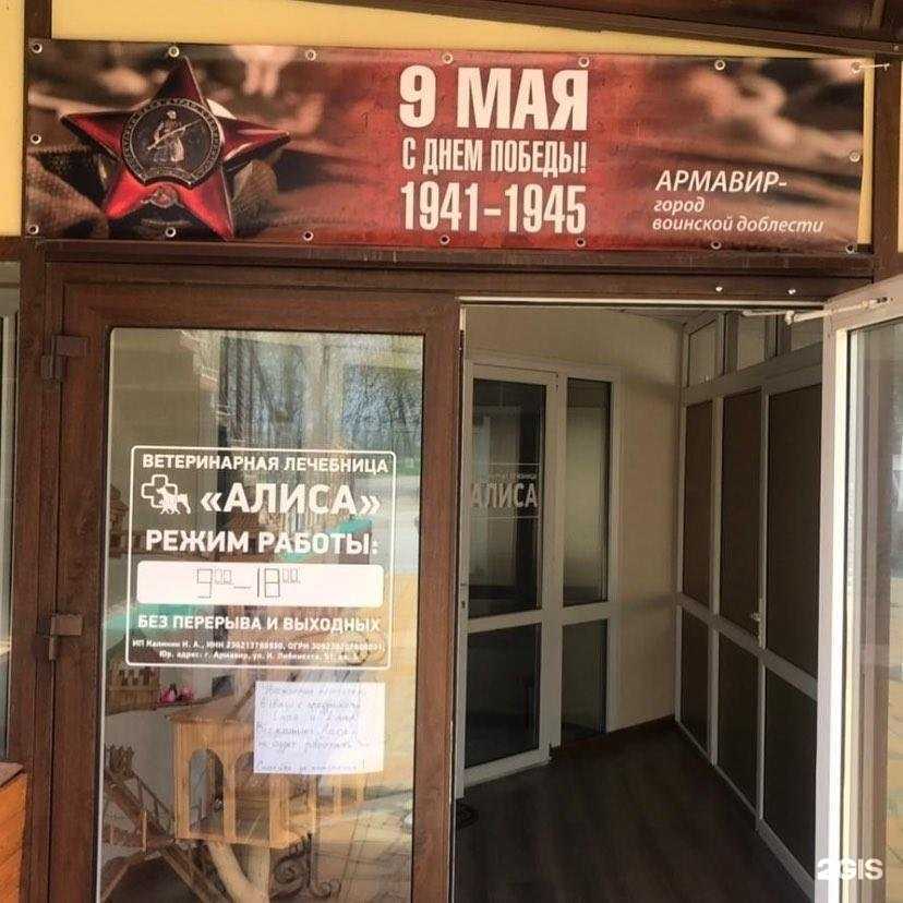 Отзывы на компанию Алиса в Армавире c фото