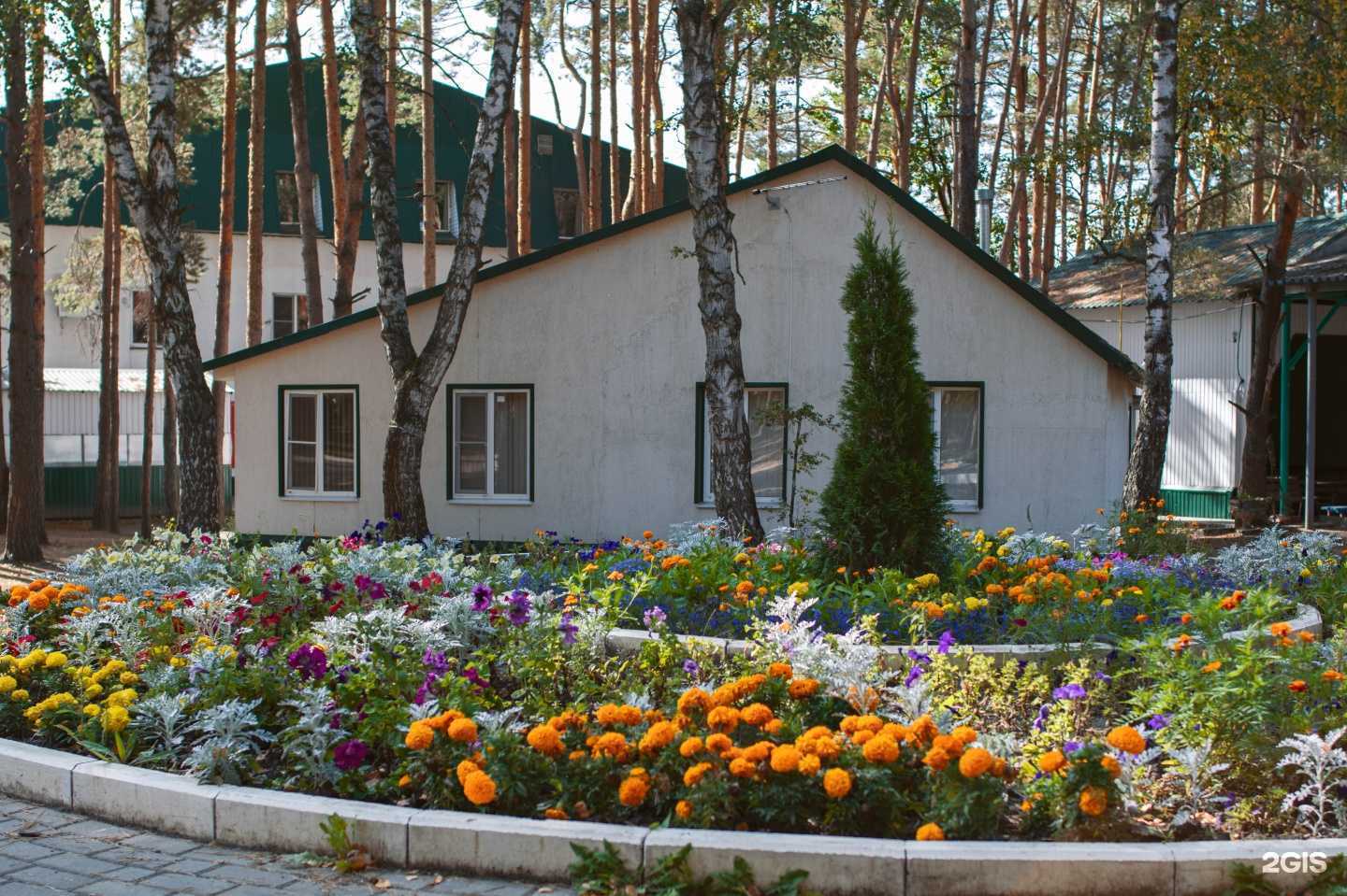 Отзывы на компанию Олимпиец в г. Курск c фото