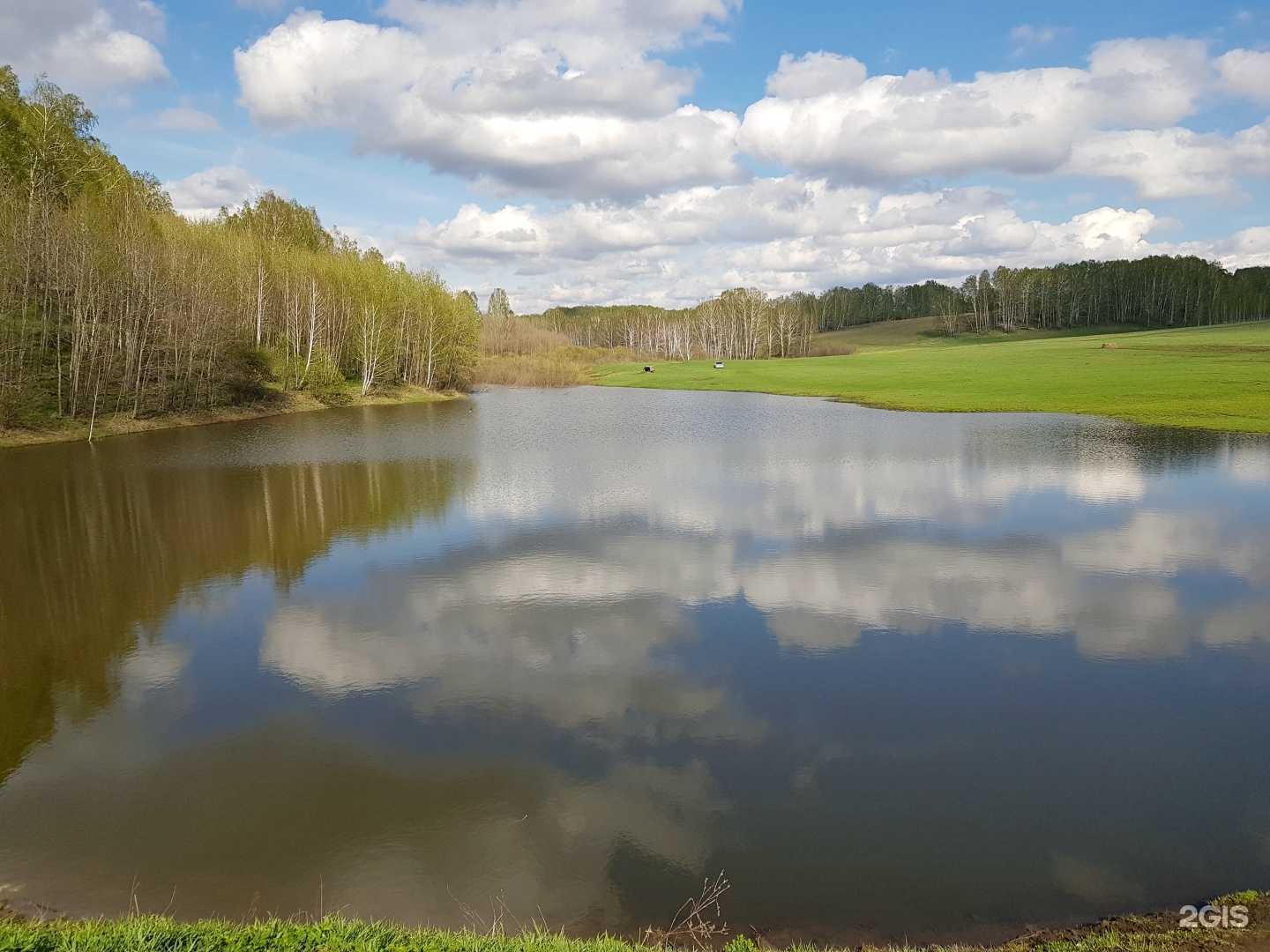 Отзывы на компанию Идиллия в Новосибирске c фото
