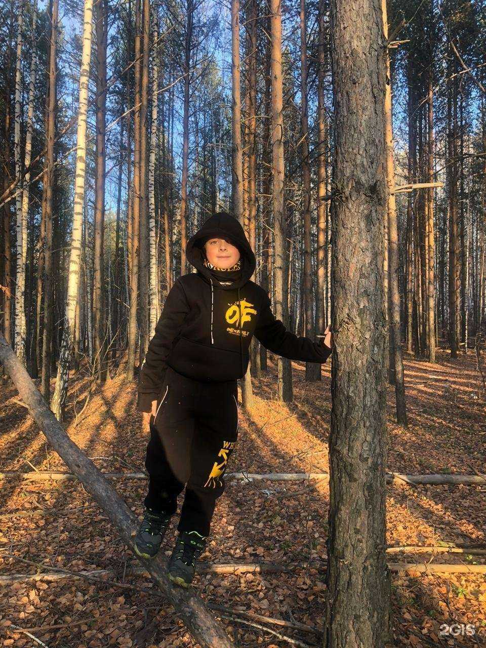 Отзывы на компанию Dolphin kids в г. Екатеринбург c фото