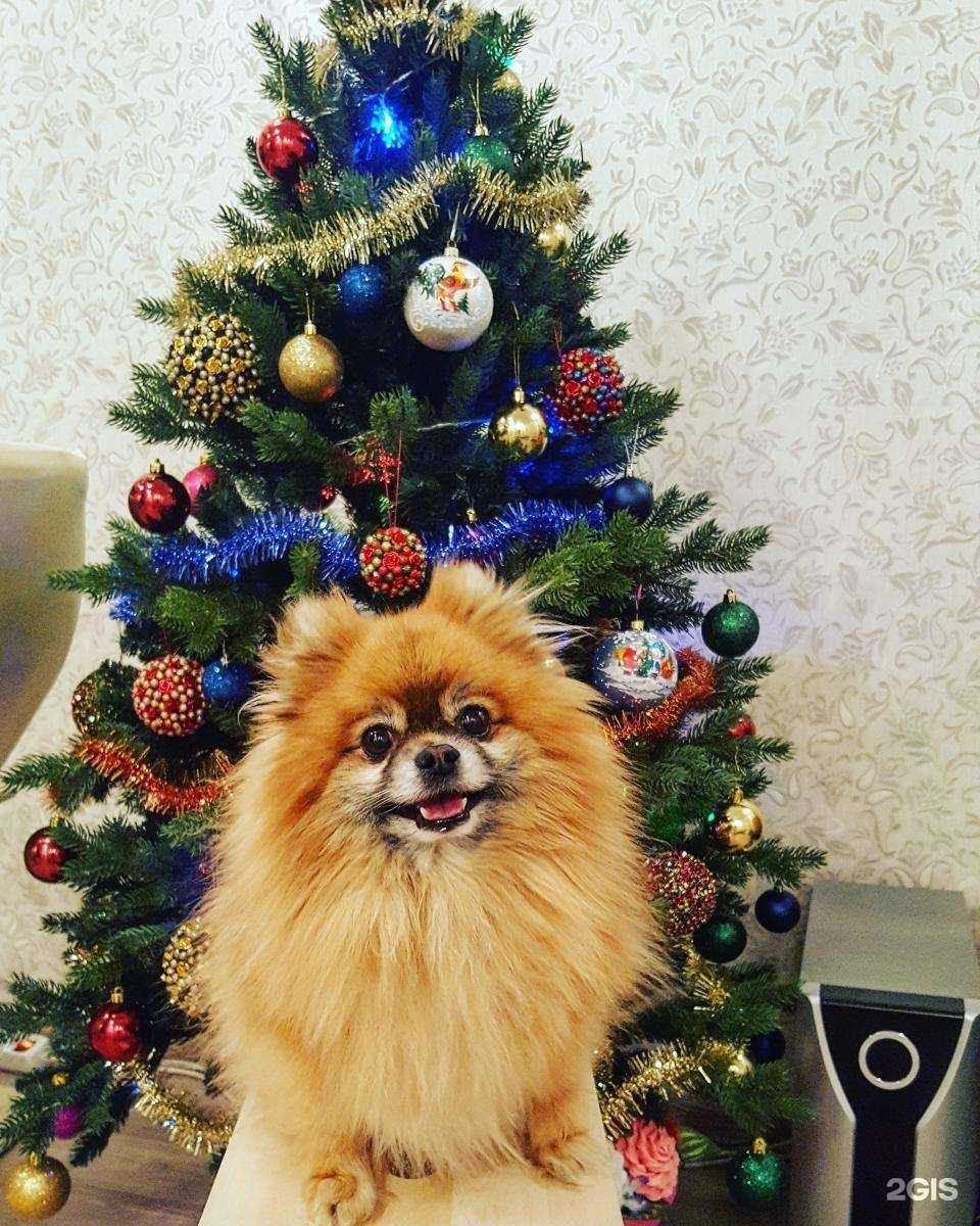 Отзывы на компанию Рекс в г. Кемерово c фото