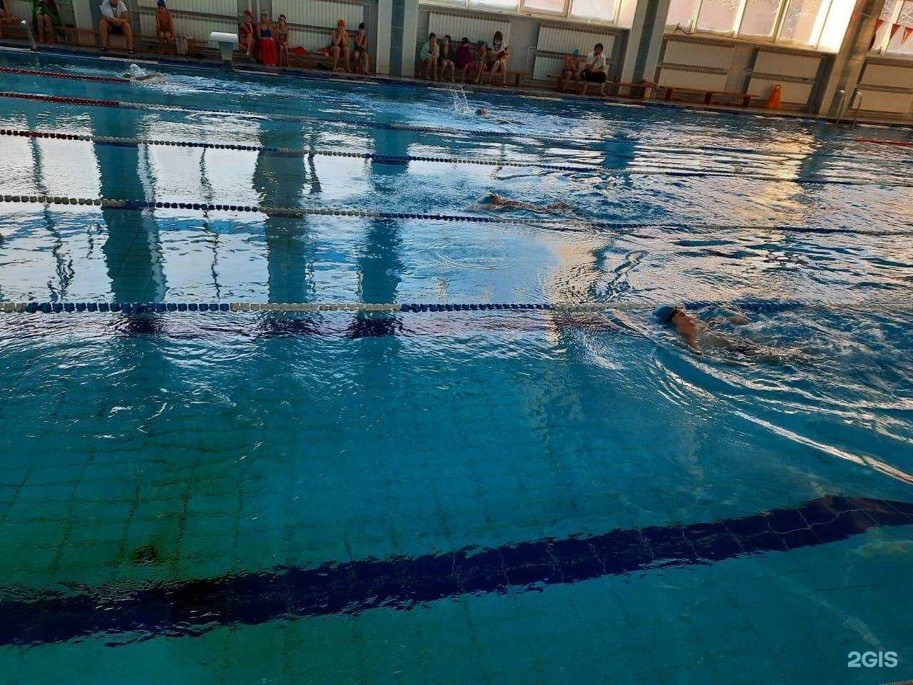 Отзывы на компанию Спортивная школа №5 в г. Кемерово c фото