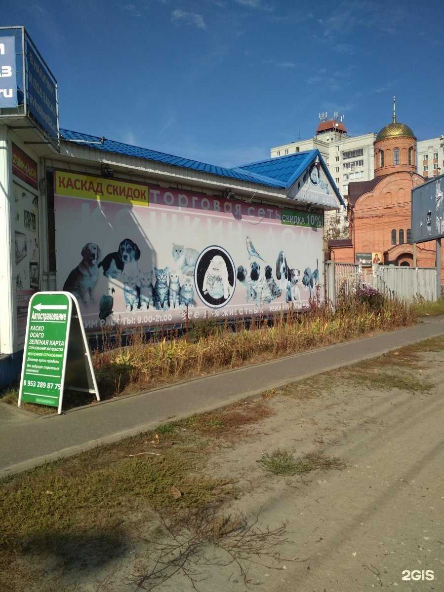 Отзывы на компанию Кошкин дом в г. Брянск c фото