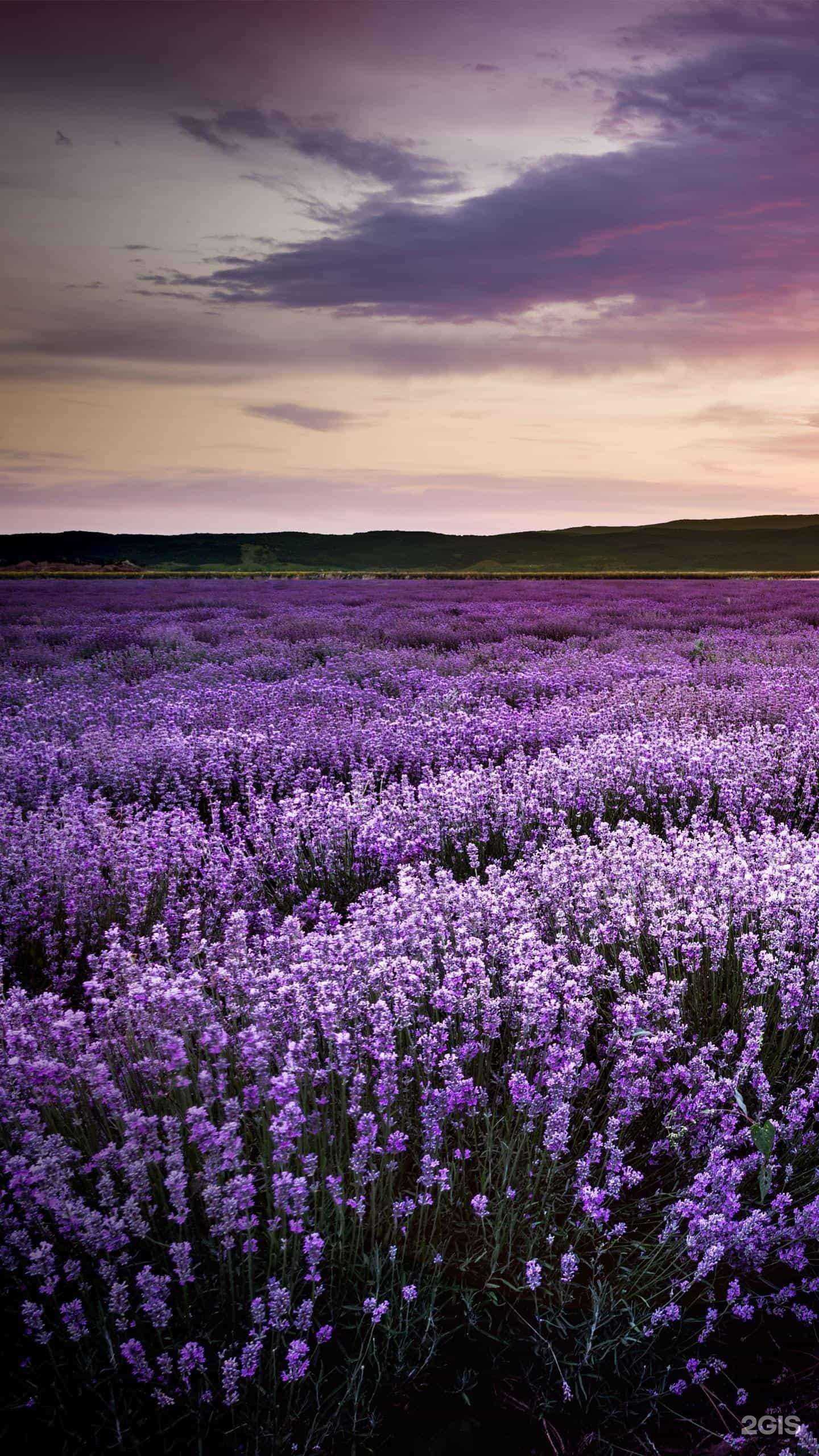 Отзывы на компанию Трианна в г. Находка c фото