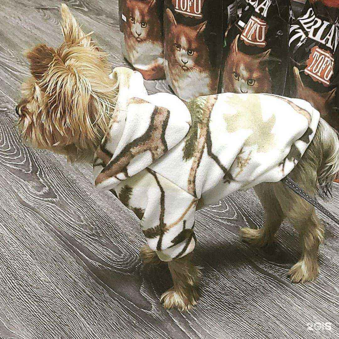 Отзывы на компанию Три кота в г. Королёв c фото